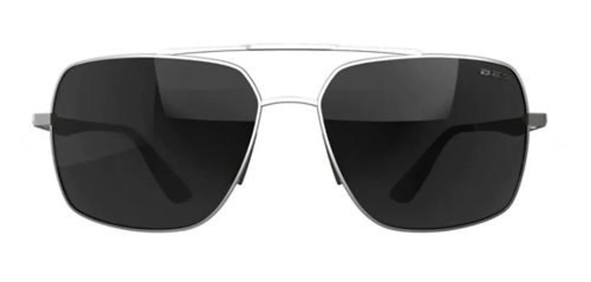 Bex Sunglasses Wing in Matte Silver Gray