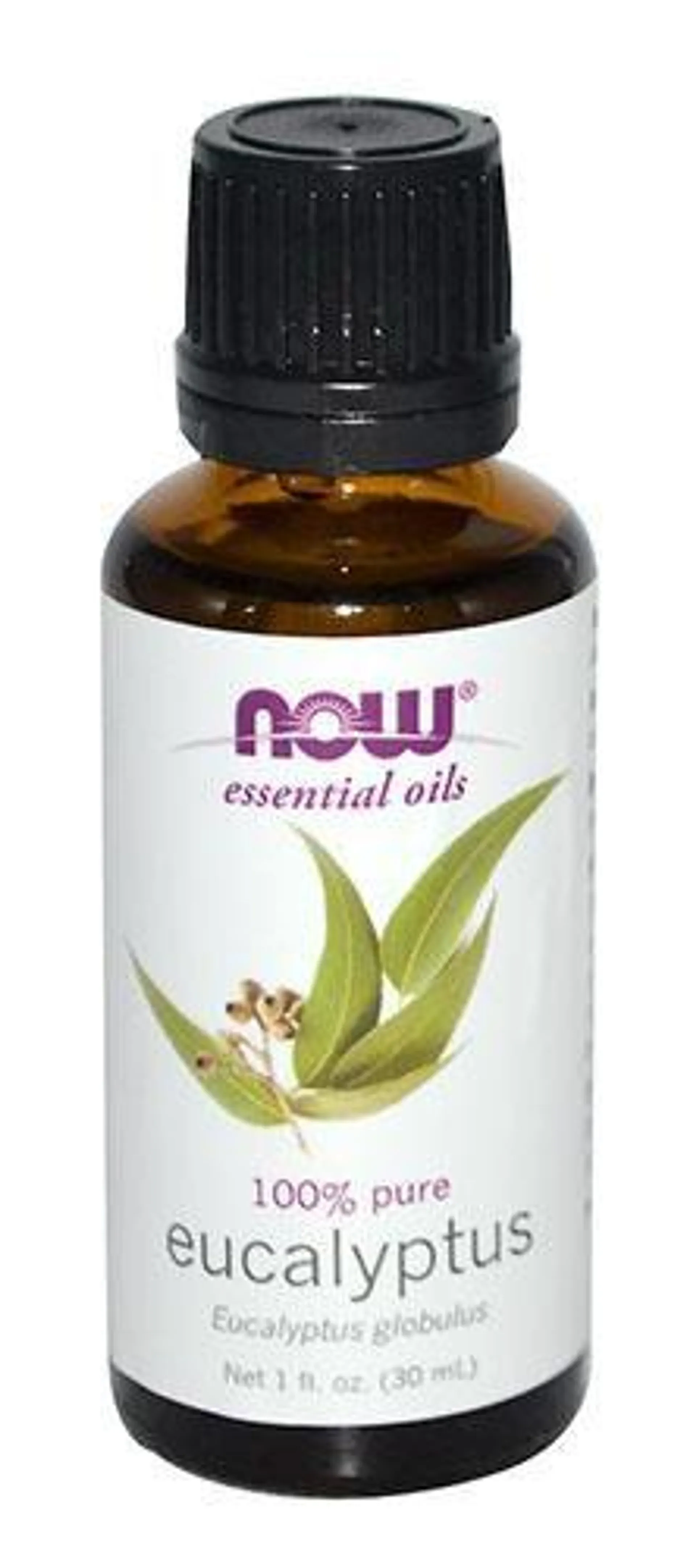 EUCALYPTUS ESSENTIAL OIL