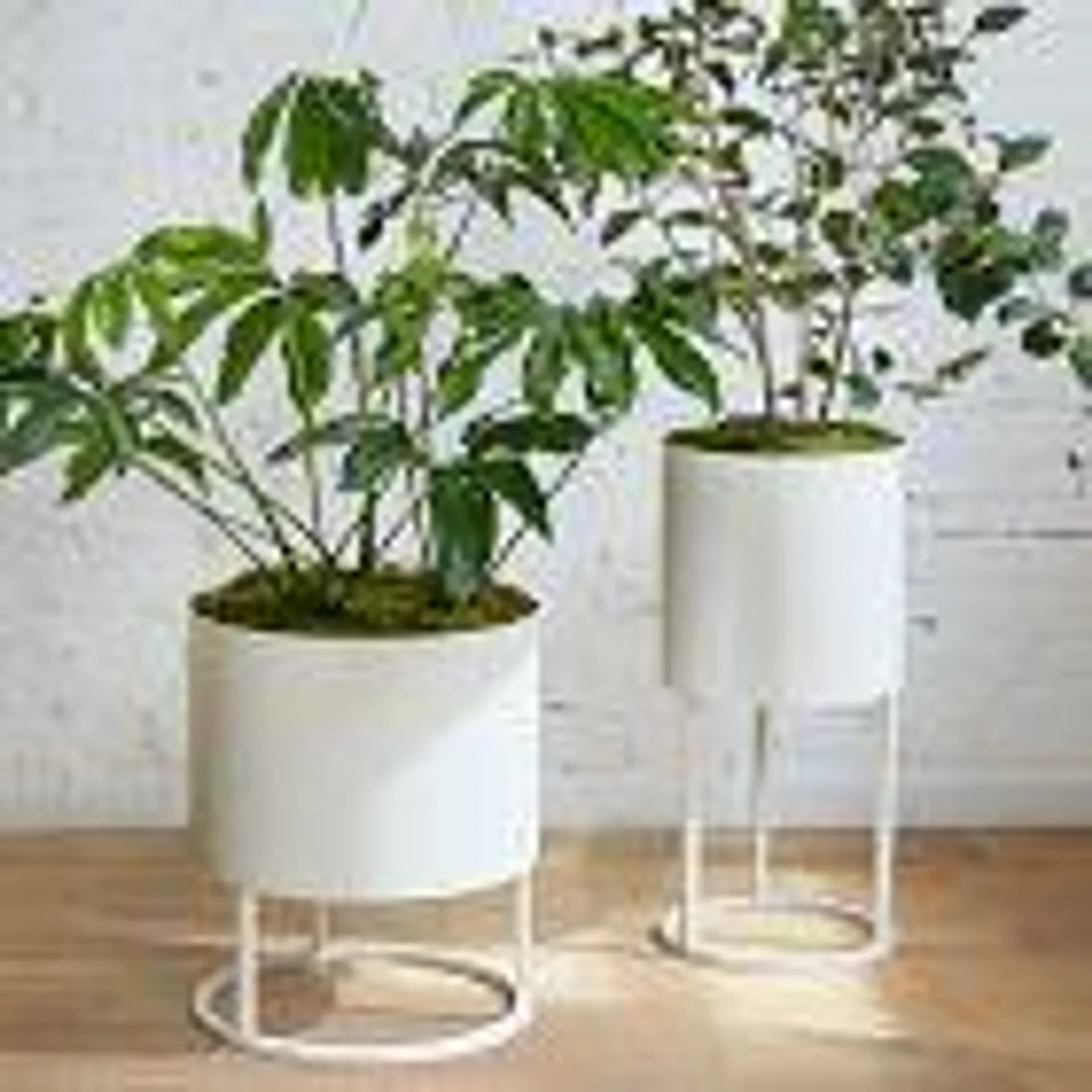 Streamline Round Metal Indoor/Outdoor Planters