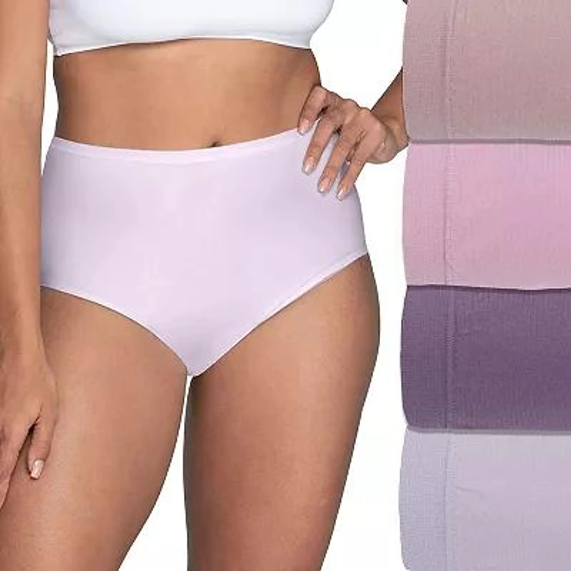 Women’s Fruit of the Loom® 4-Pack Seamless 360 Stretch Brief Panty Set 4DSLBRK