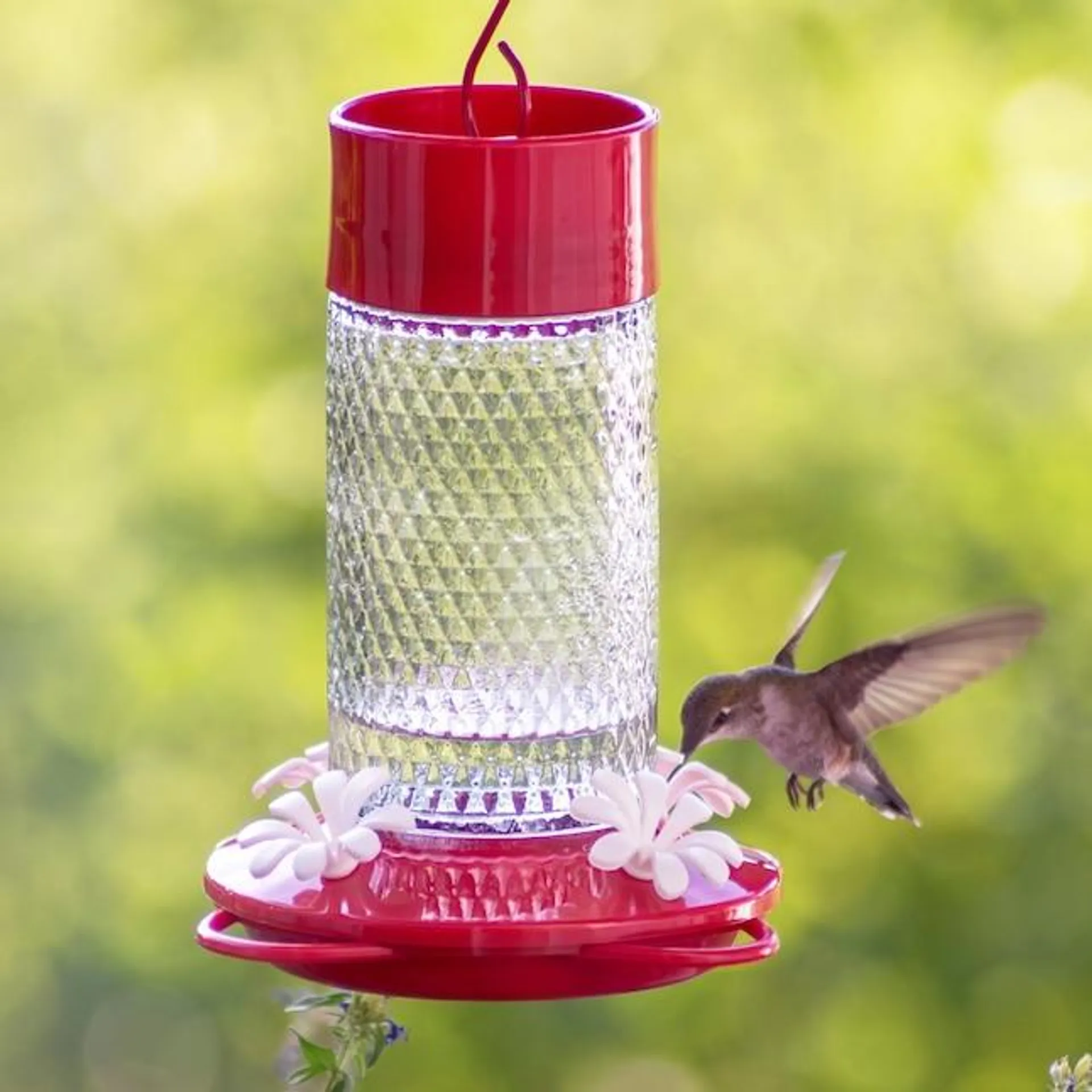 Style Selections Gravity Glass Hanging Hummingbird Feeder- 13-oz