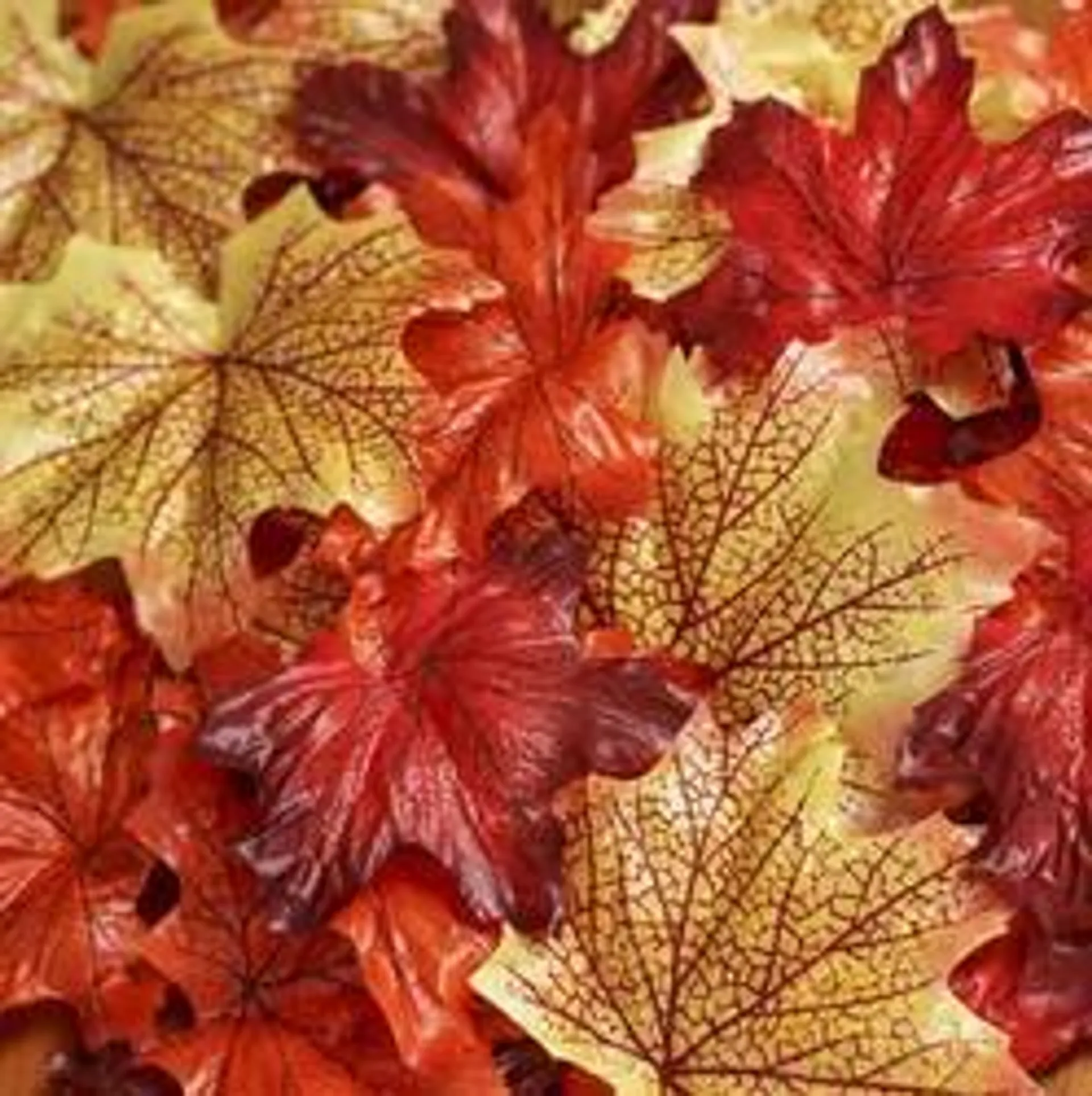 Assorted Autumn Maple Leaves (Package of 100 pieces)