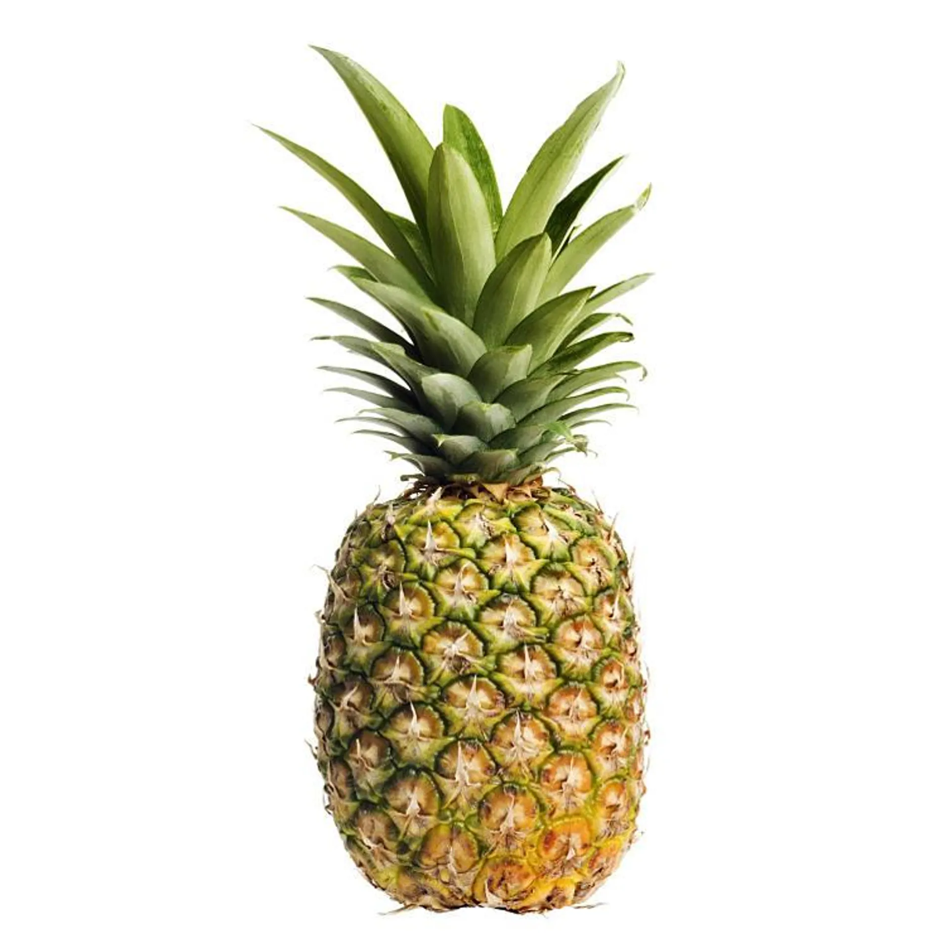 Golden Pineapple