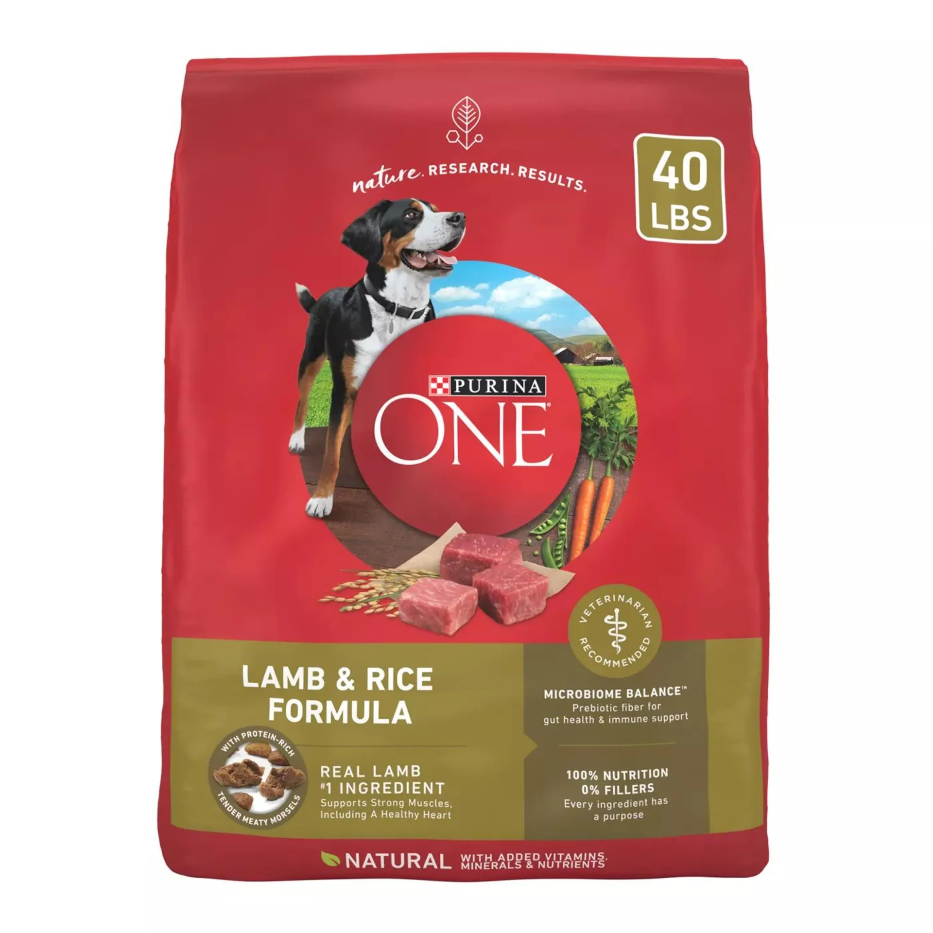 Purina ONE® SmartBlend Everyday Nutrition Adult Dog Dry Food - Lamb, High-Protein