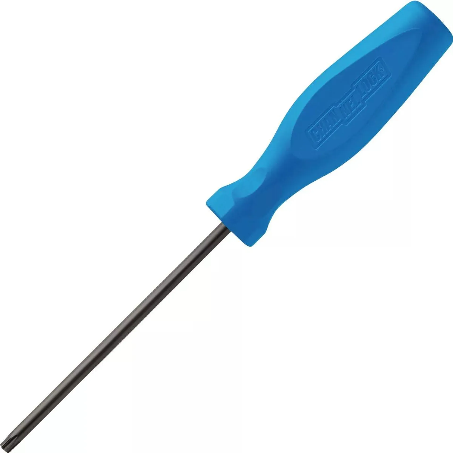 Channellock T25 x 4 In. Professional Torx Screwdriver