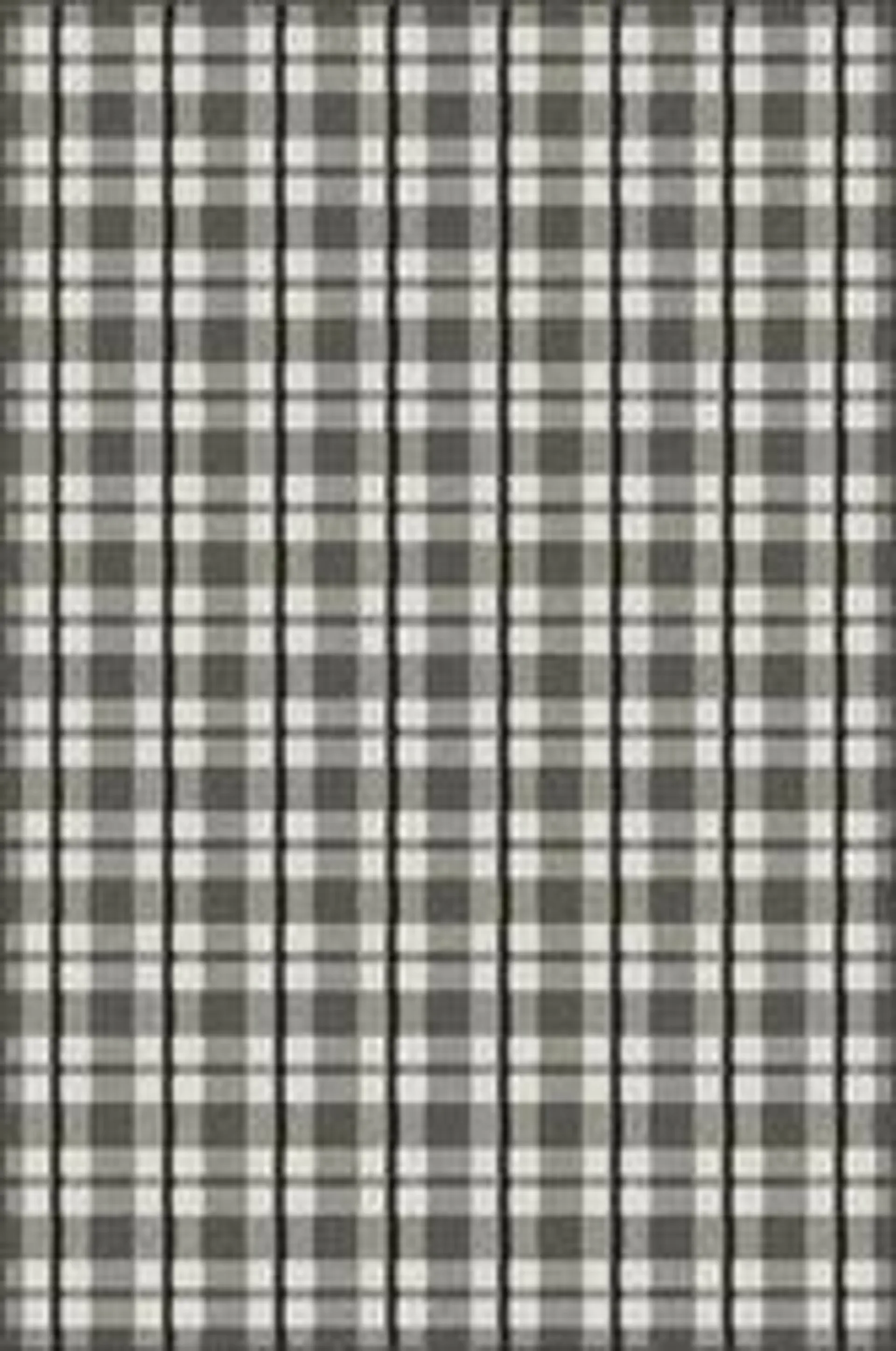 U-Carpet Chester Crow 4' x 6' Accent Rug