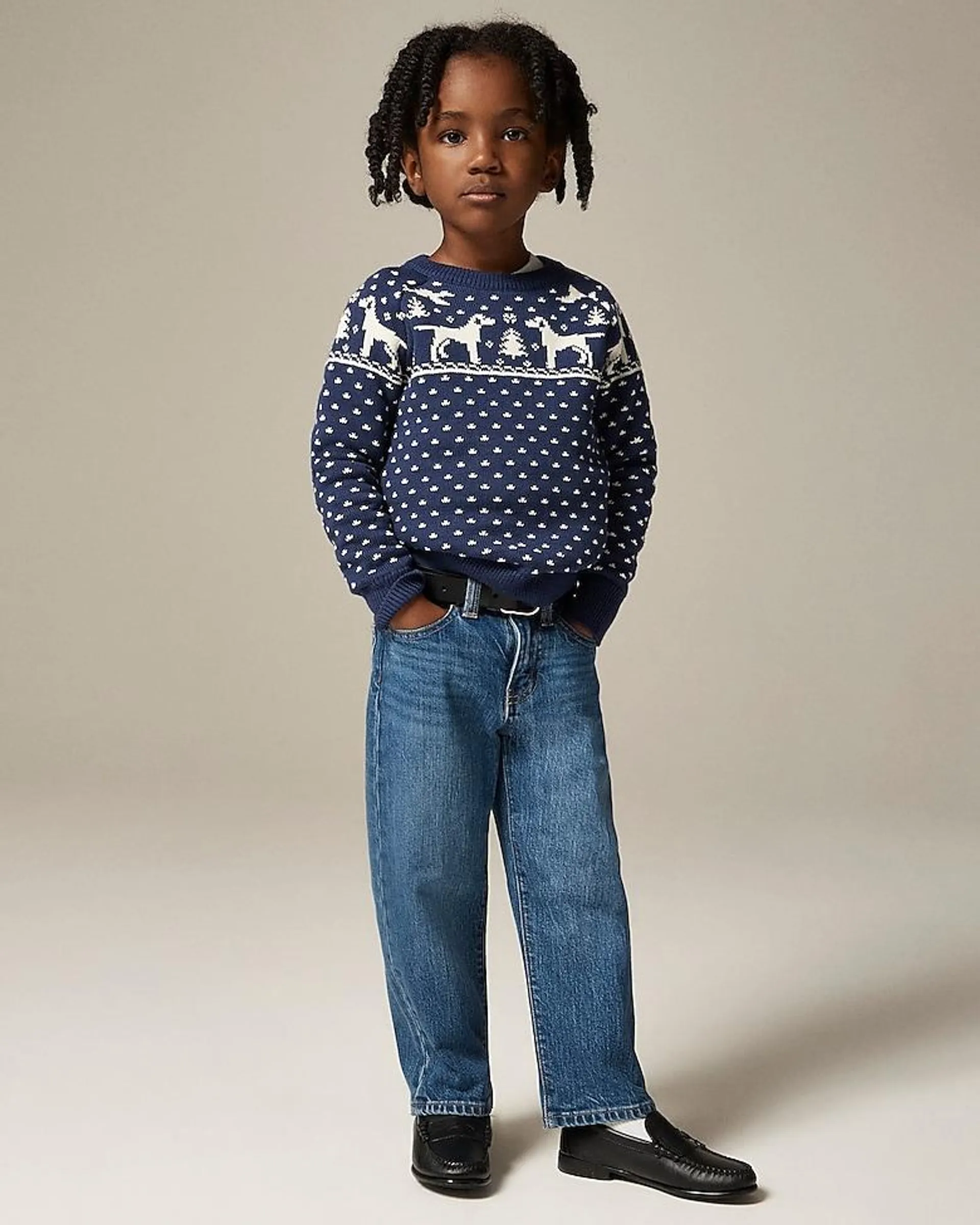 Boys' dog Fair Isle crewneck sweater