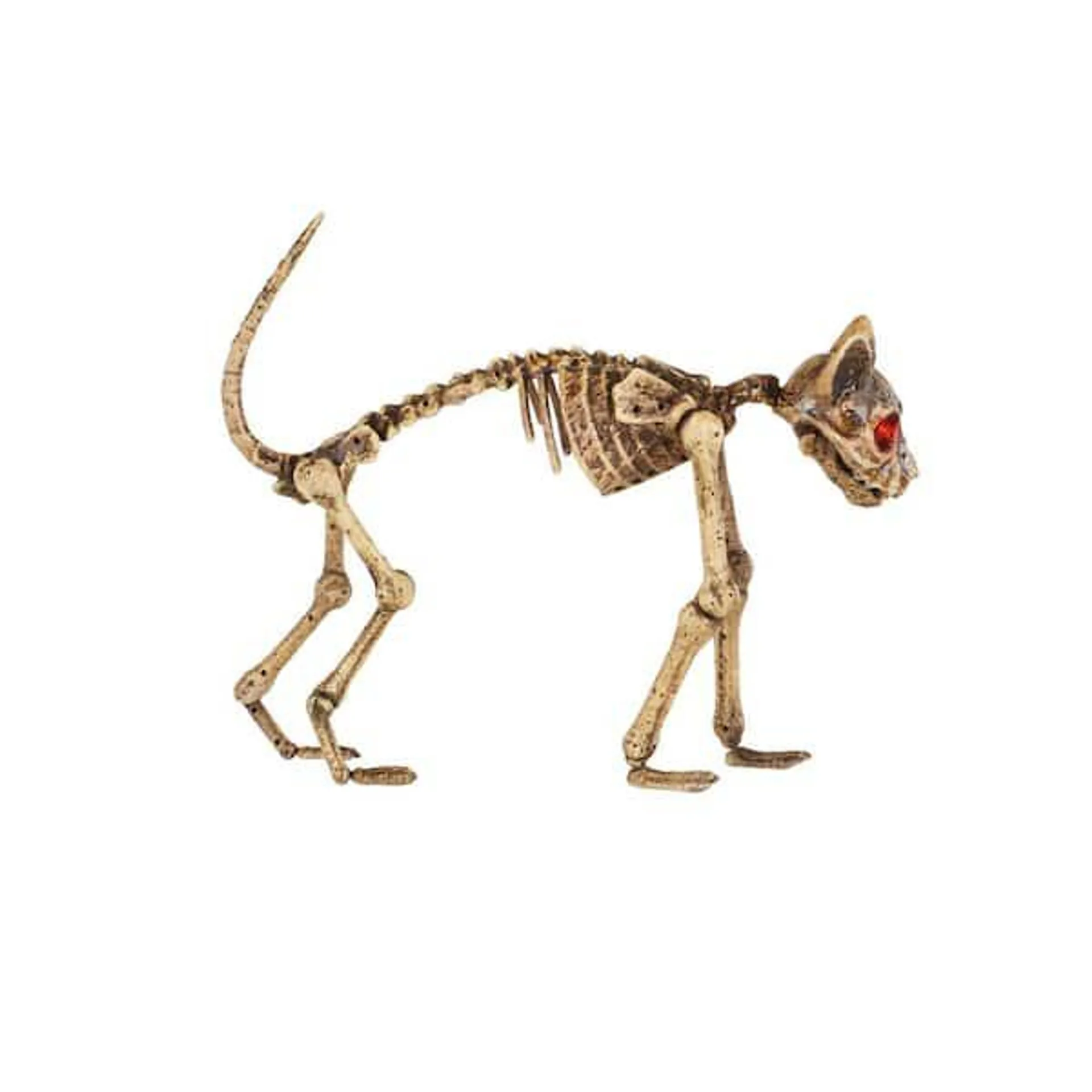 14 in. Animated LED Decayed Skeleton Cat