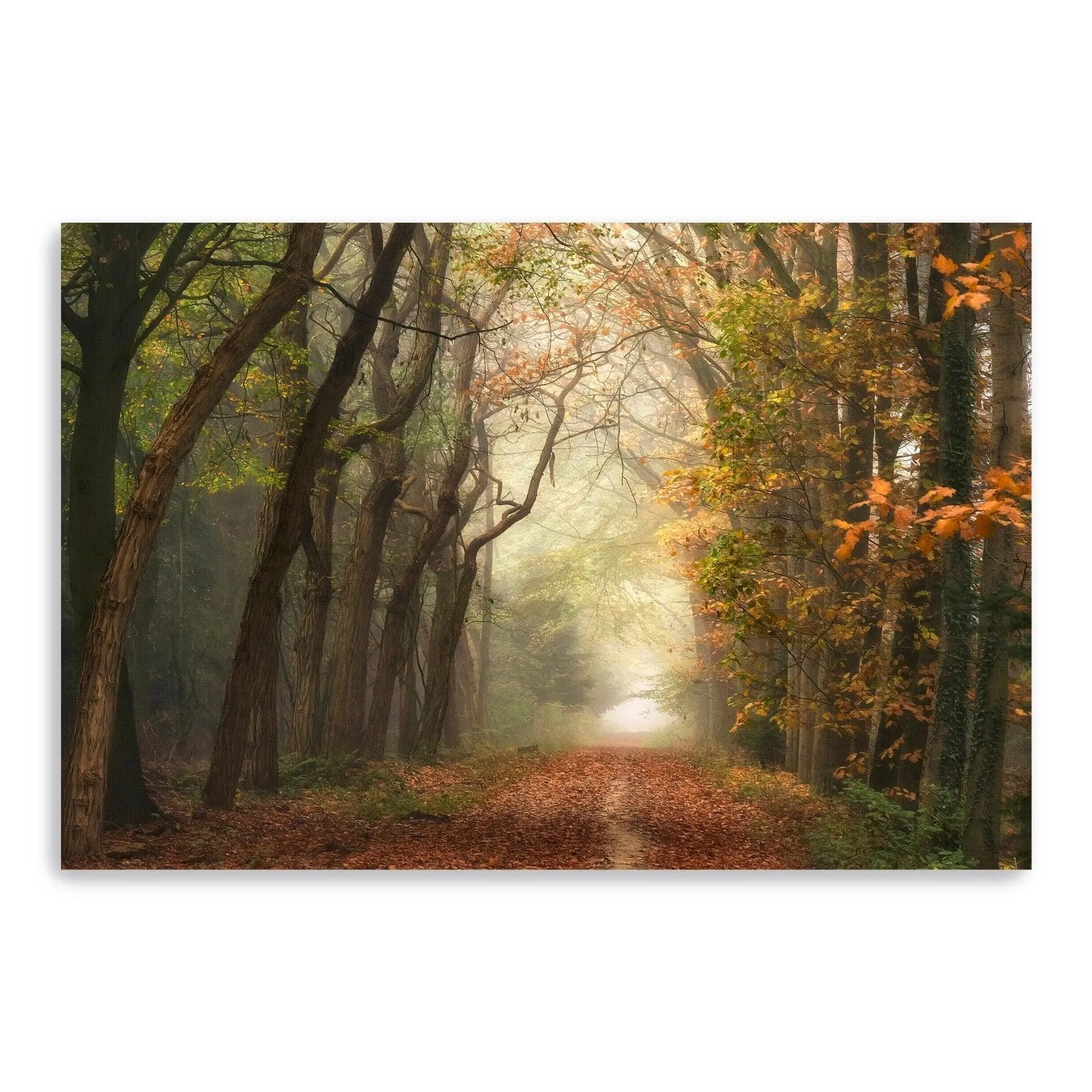 Path Of Dreams Canvas Giclee Wall Art