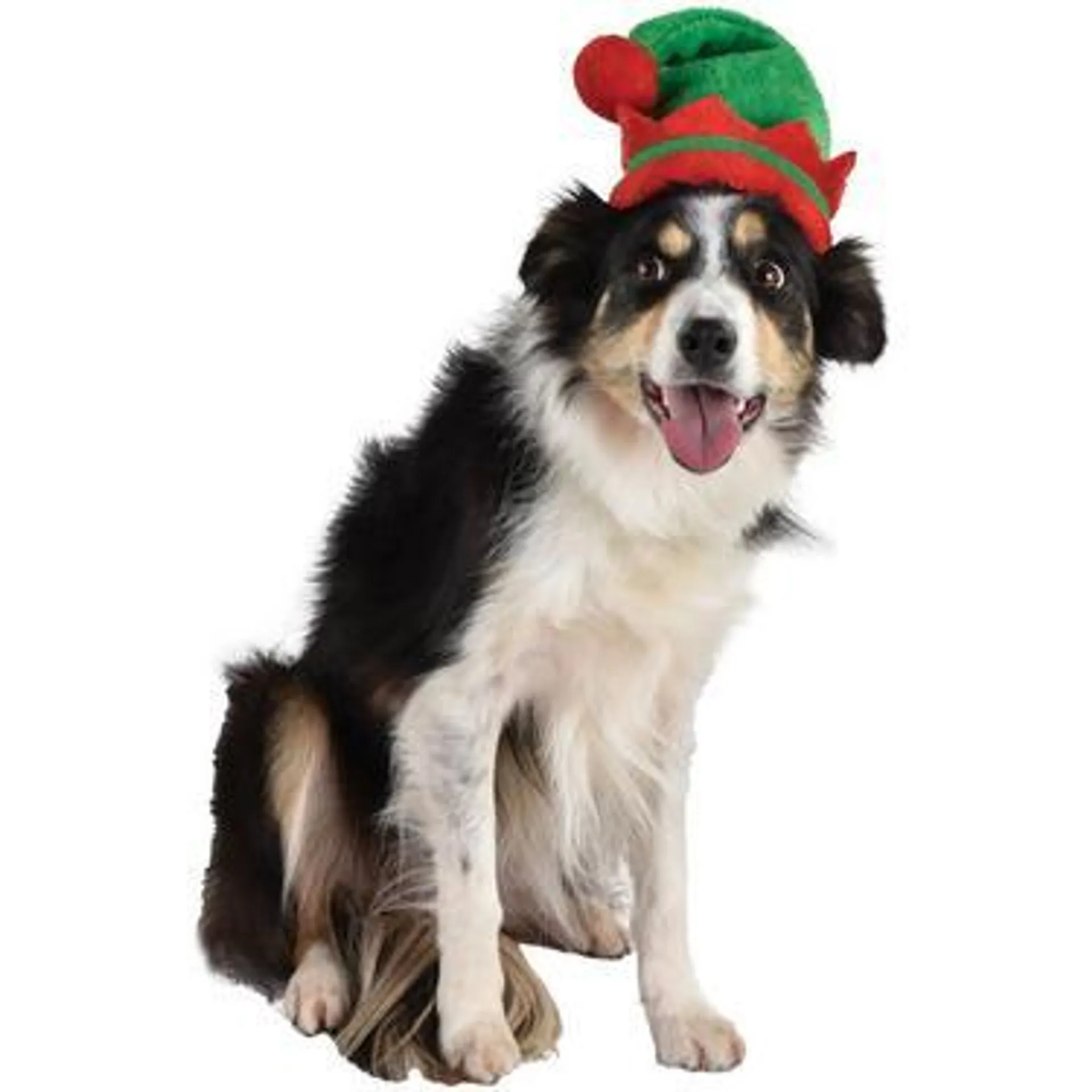 Pet Christmas Elf Hat