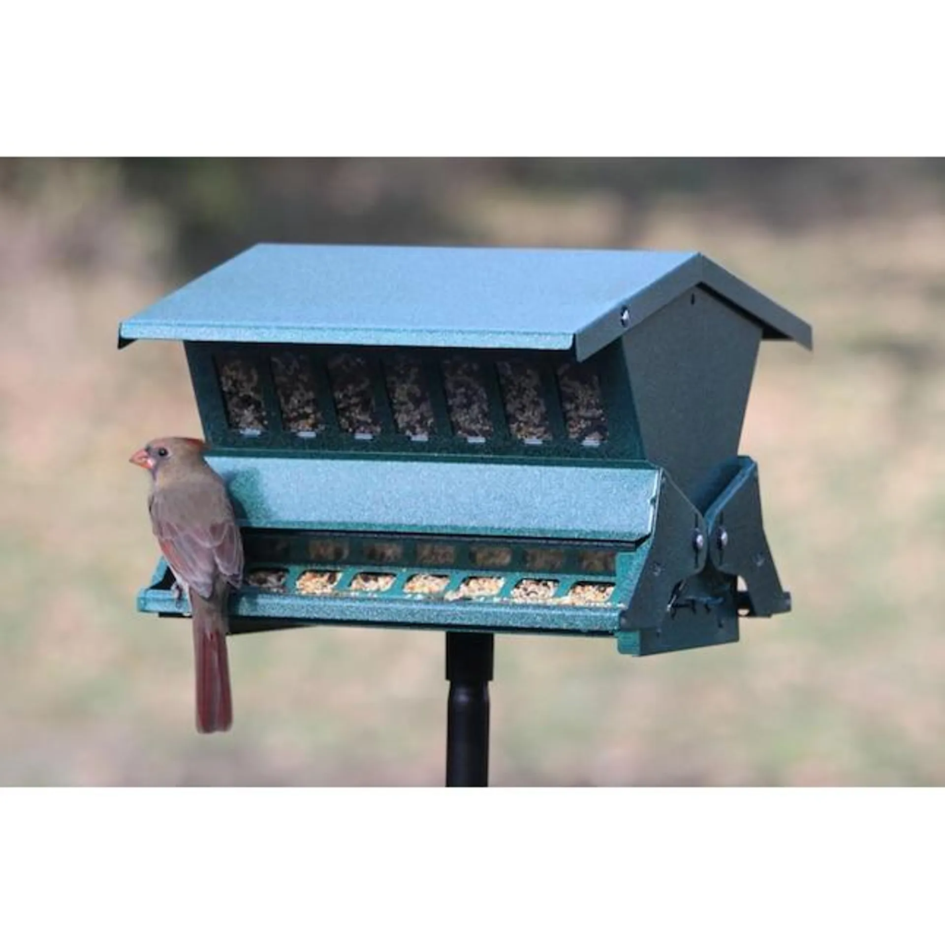 Woodlink Metal Hanging/post-mount Squirrel-resistant Hopper Bird Feeder- 12-lb