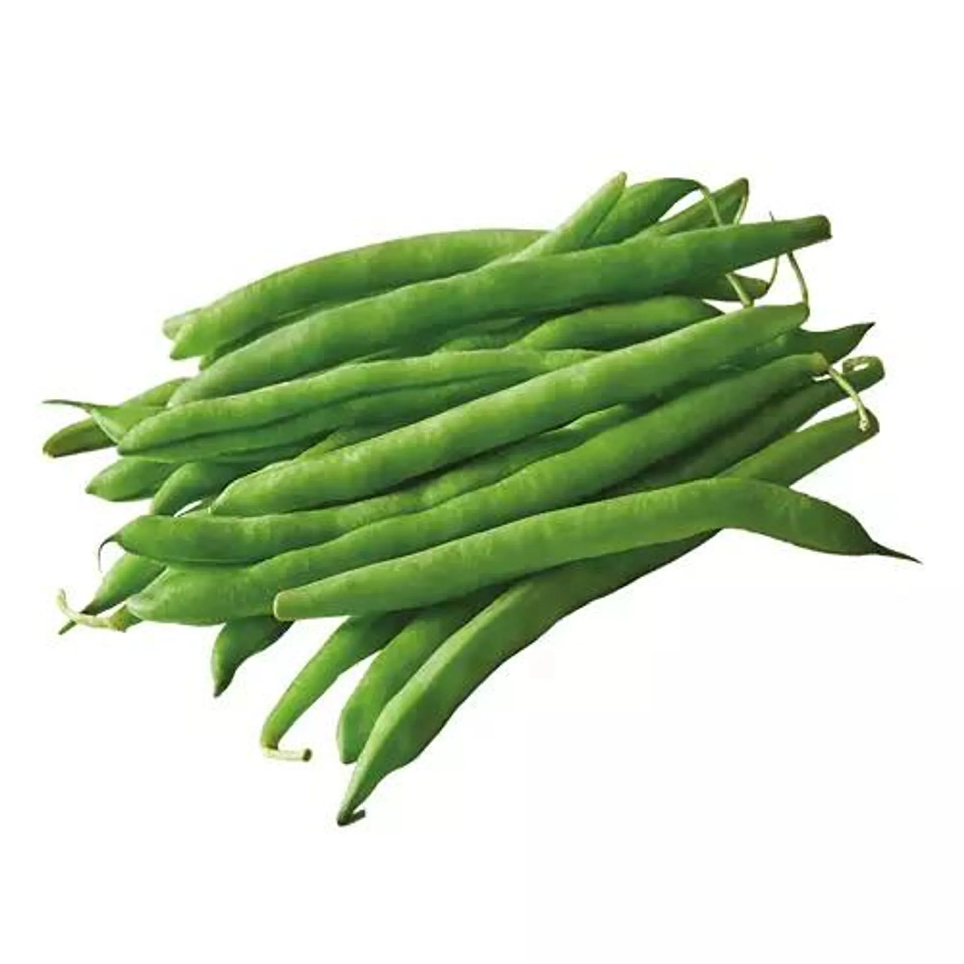 French Green Beans, 1 lb