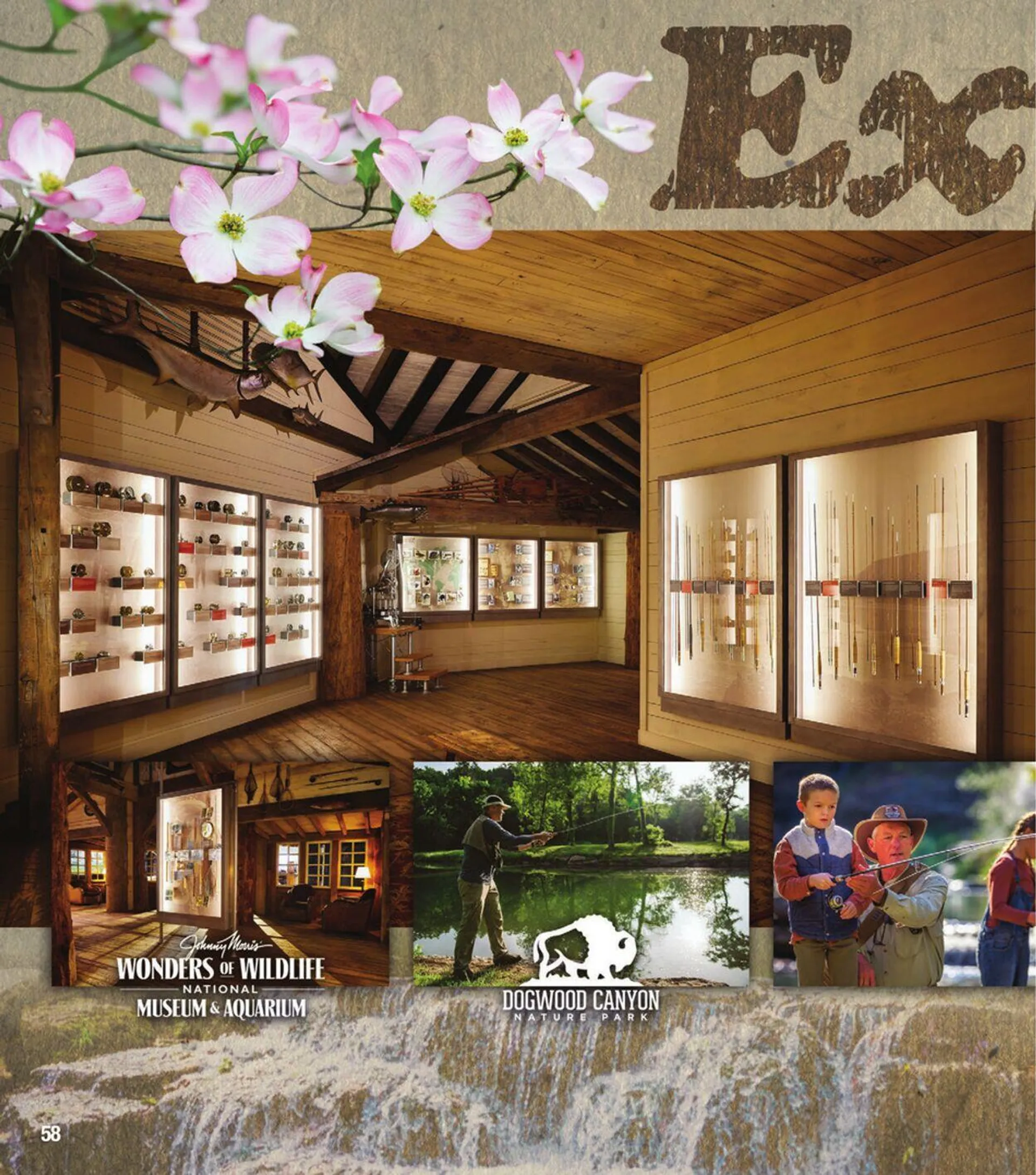 Weekly ad Bass Pro Current weekly ad from April 29 to May 13 2025 - Page 166