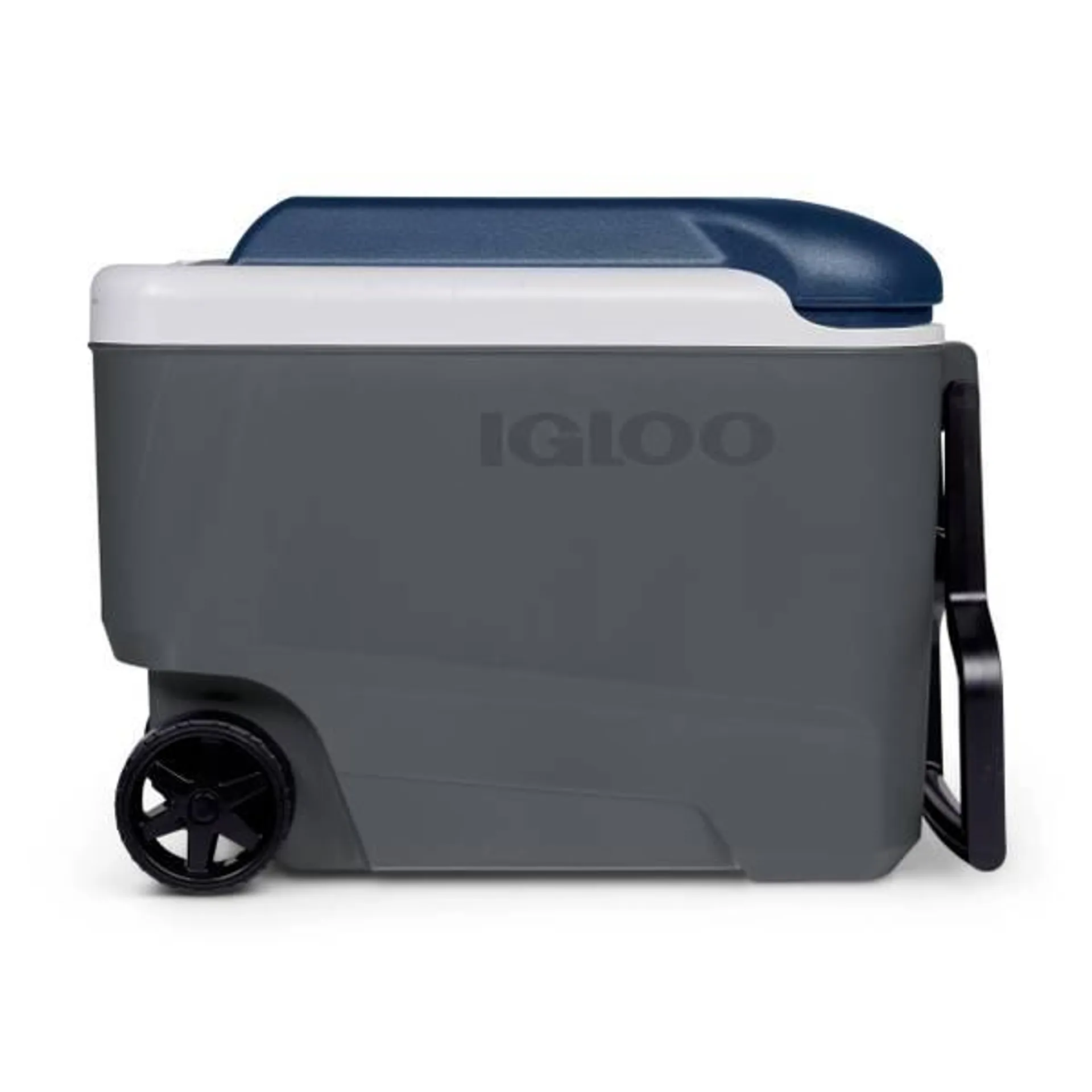 Carbonite MaxCold Latitude 40 Cooler