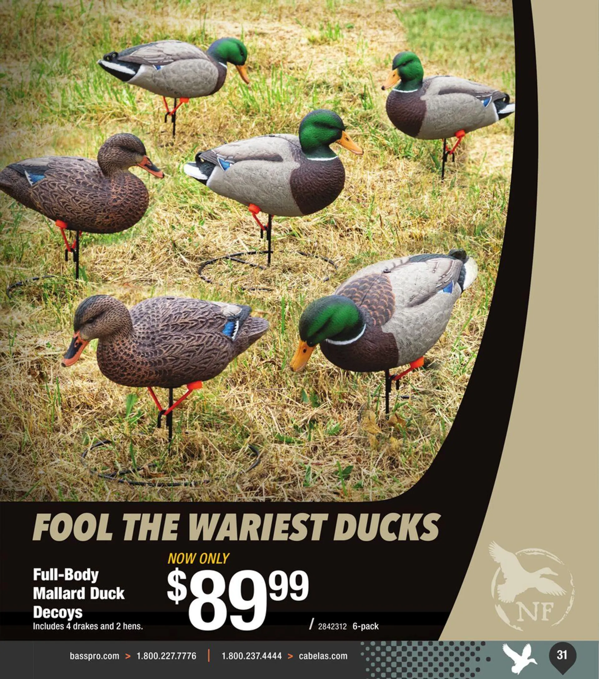 Weekly ad Bass Pro Current weekly ad from October 9 to October 23 2024 - Page 31