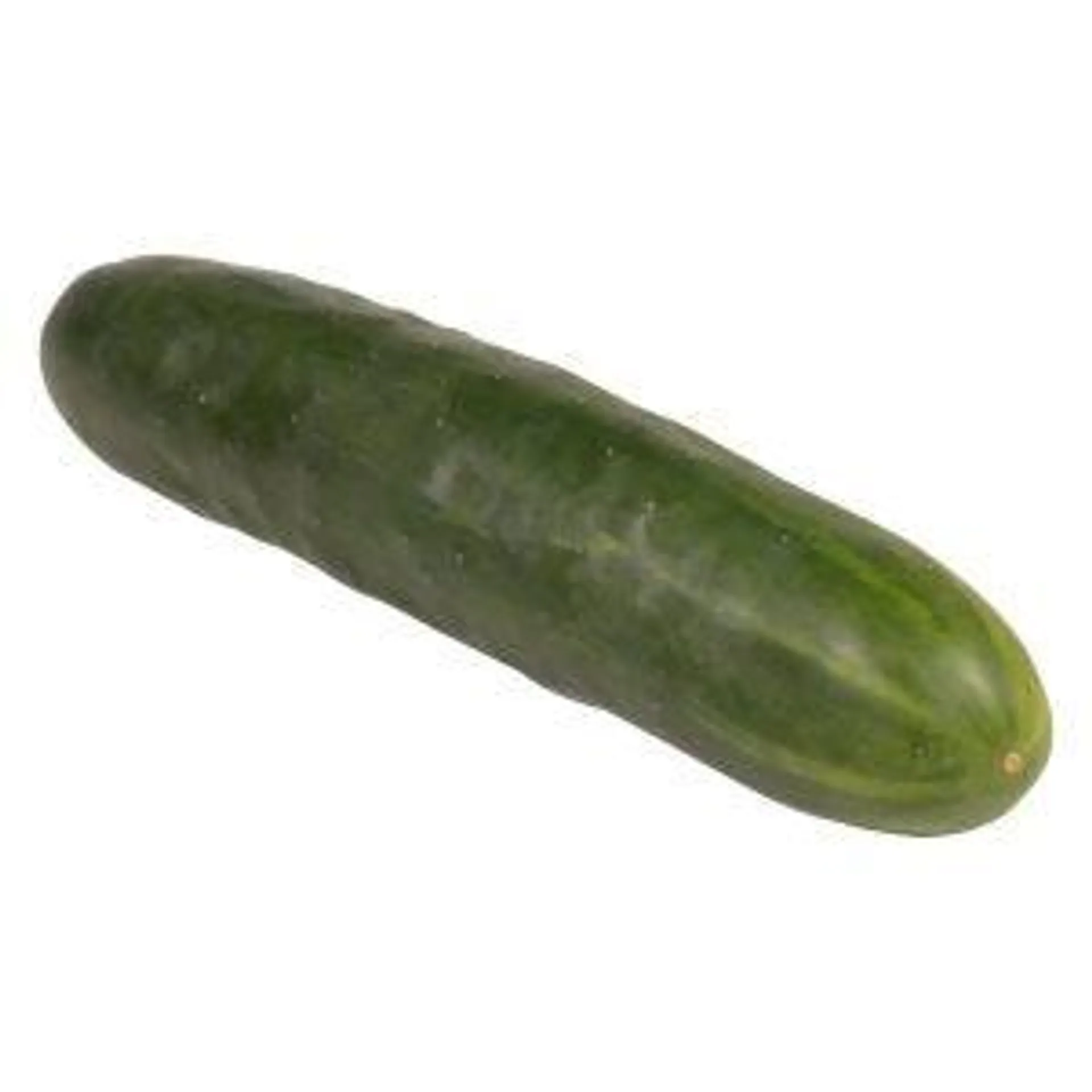 Large Cucumbers