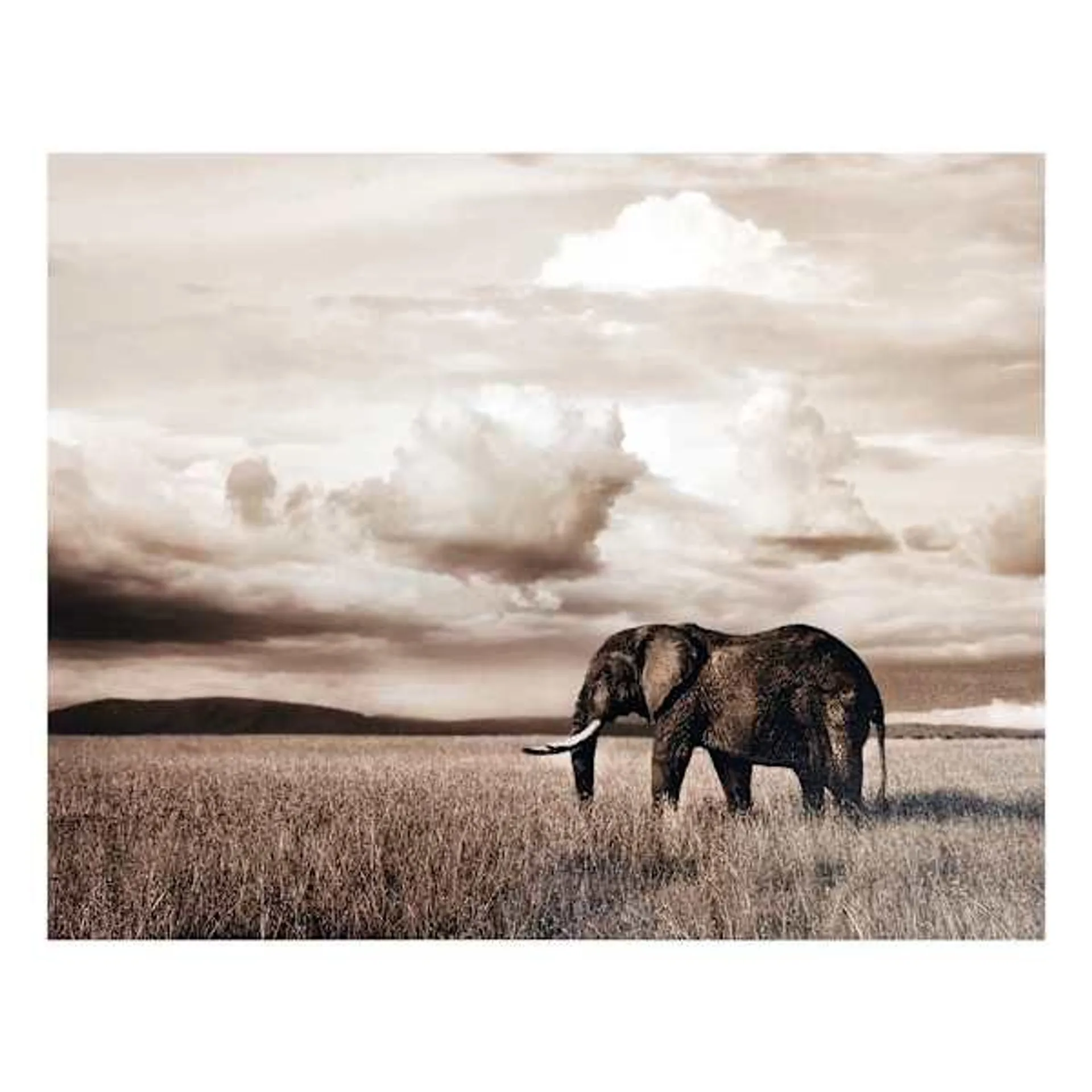 Elephant Landscape Canvas Wall Art, 28x22