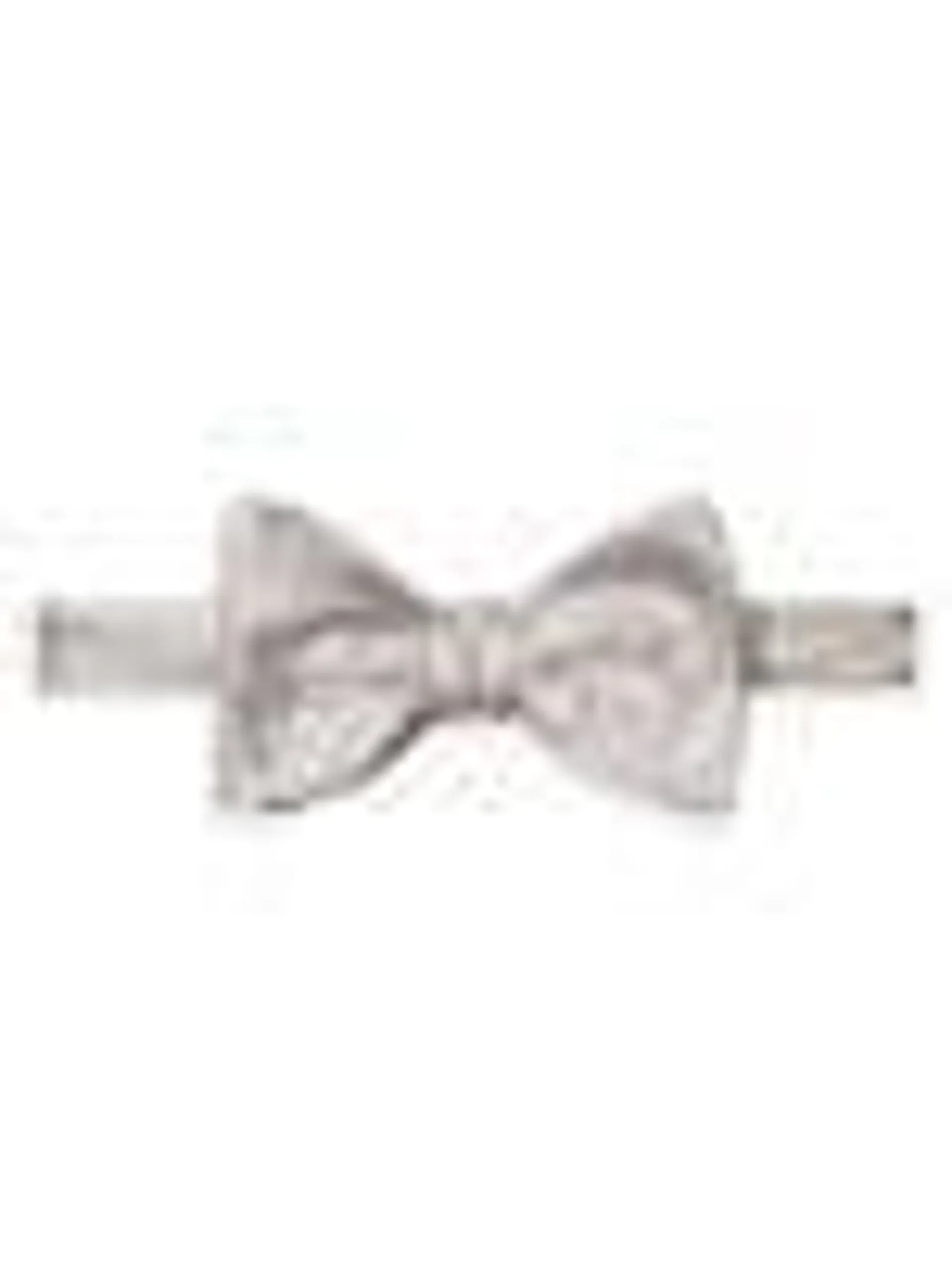 Paisley Silk Jacquard Pre Tied Bow Tie