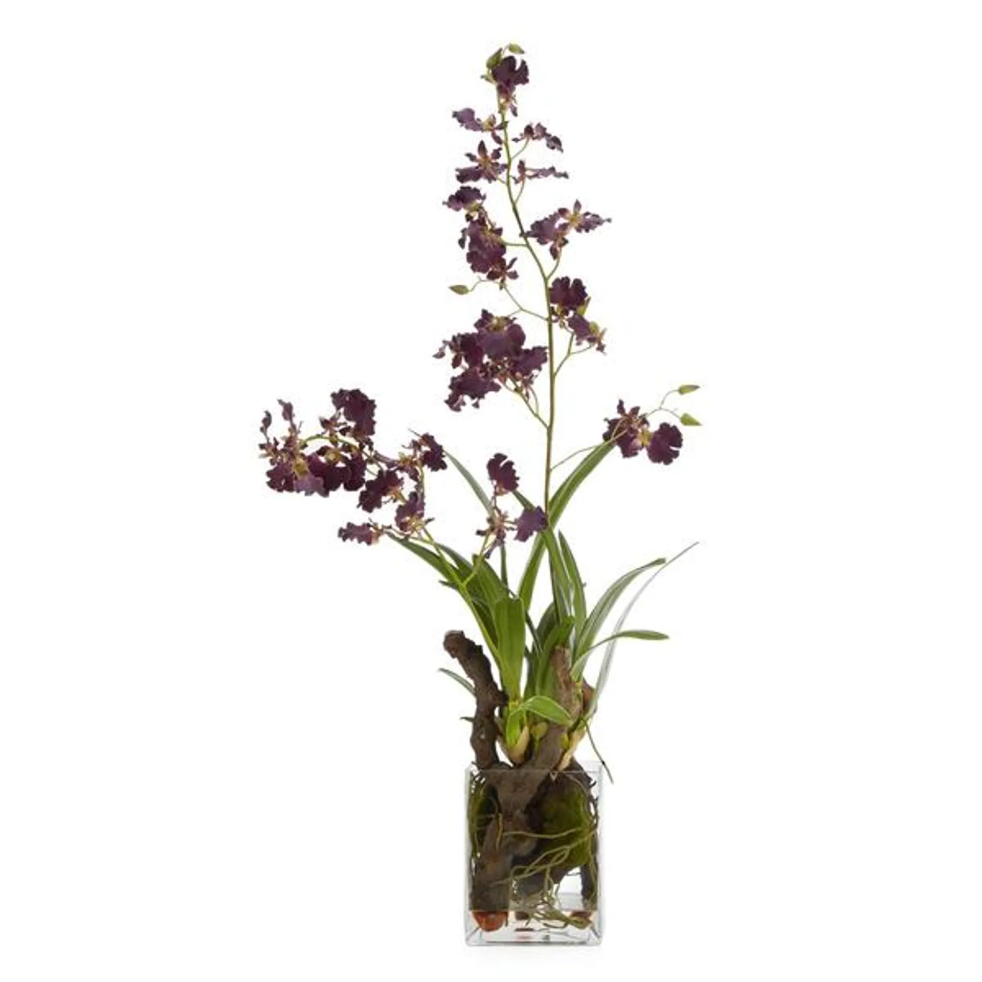 Faux Oncidium In Glass