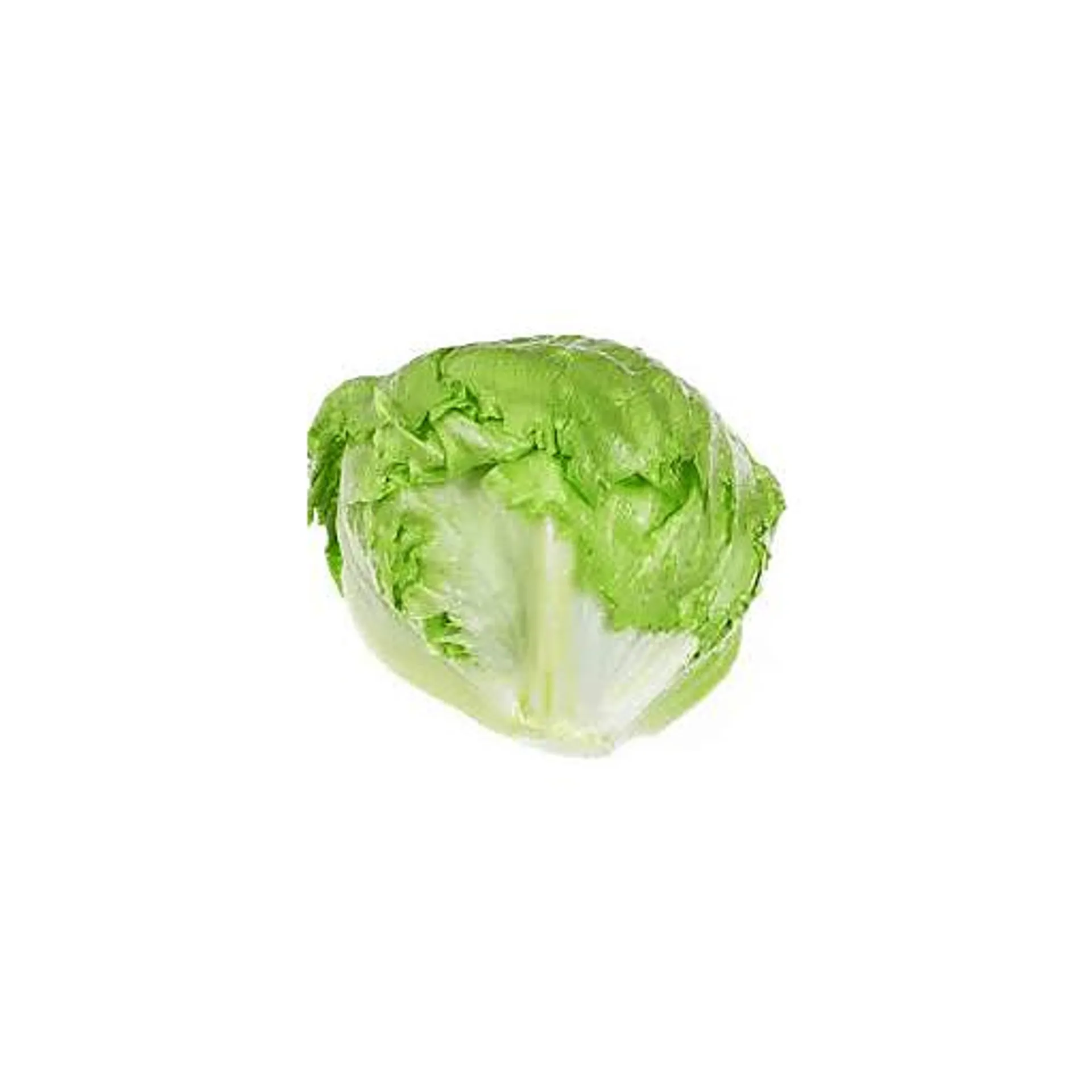 Lettuce, Head/Iceberg