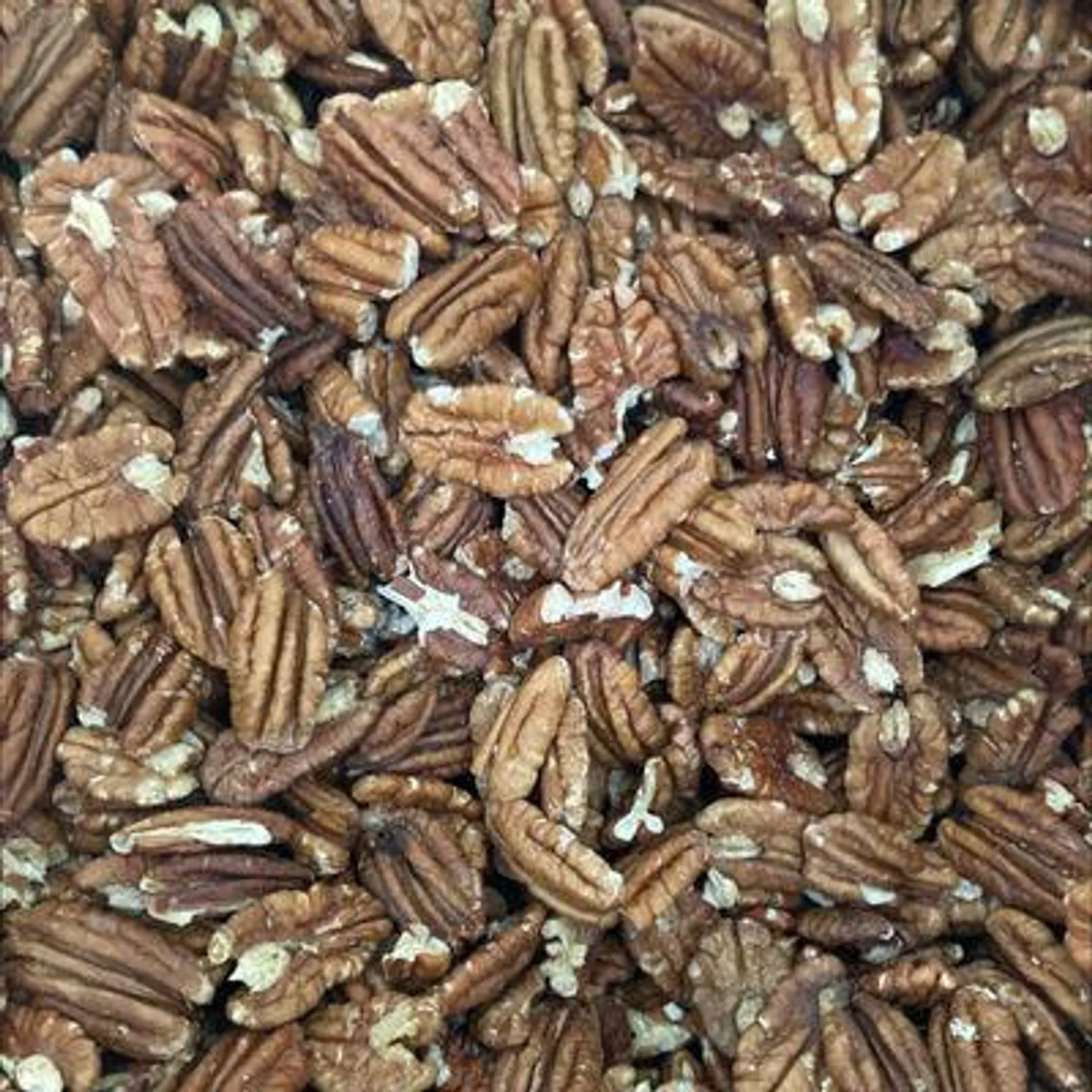 Organic Pecan Halves (Packaged)