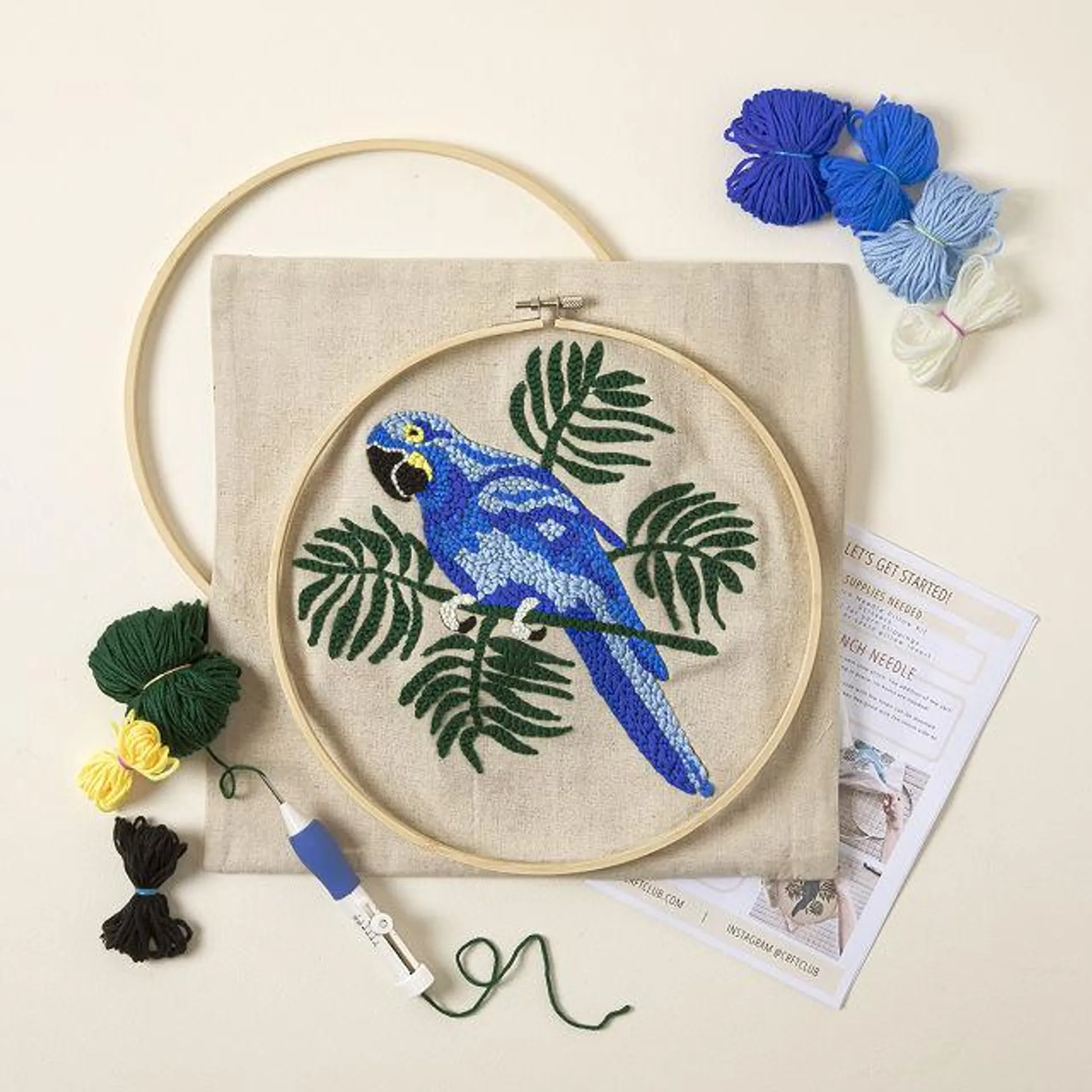 Birth Month Bird Punch Needle Pillow Kit