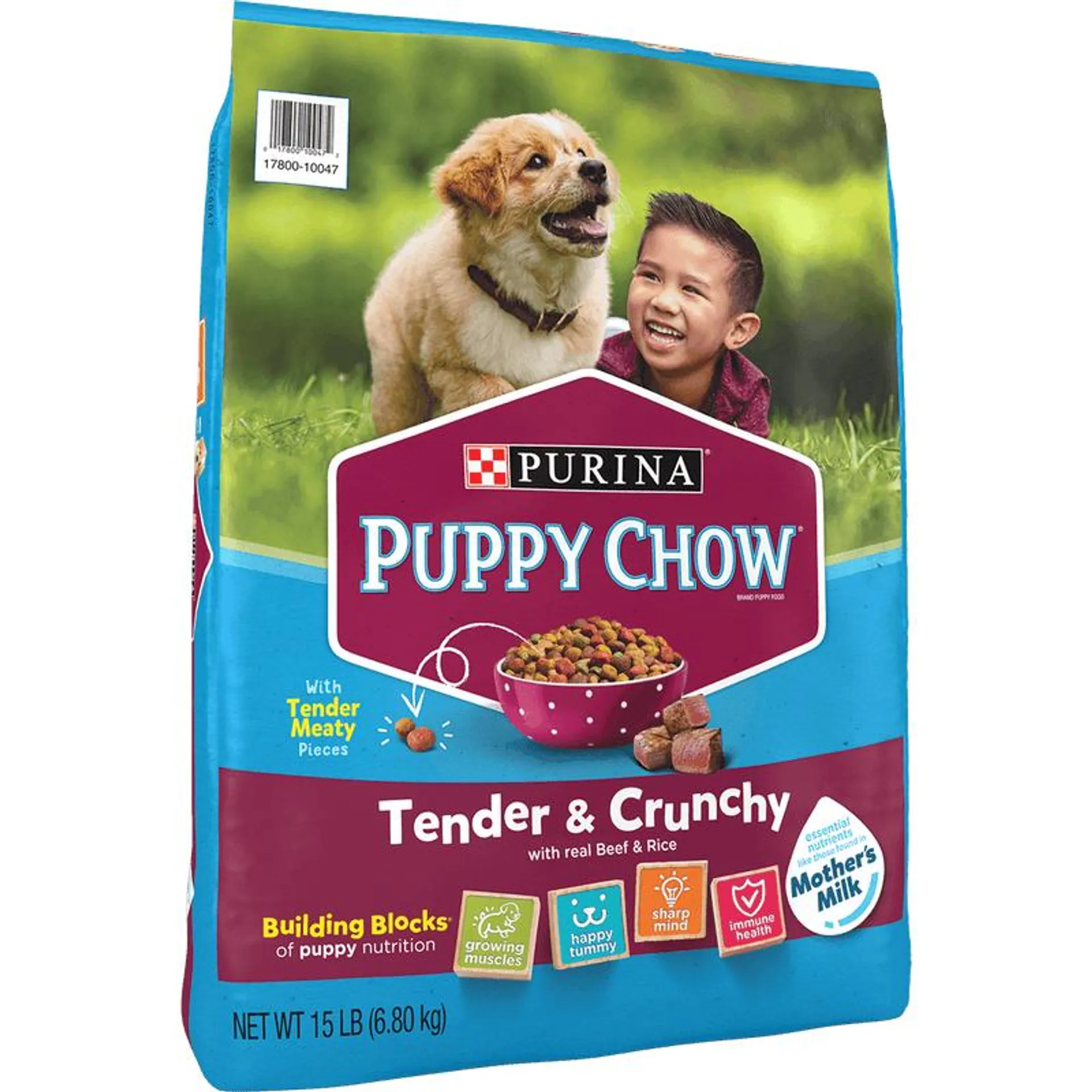 Purina Puppy Chow Dry Dog Food