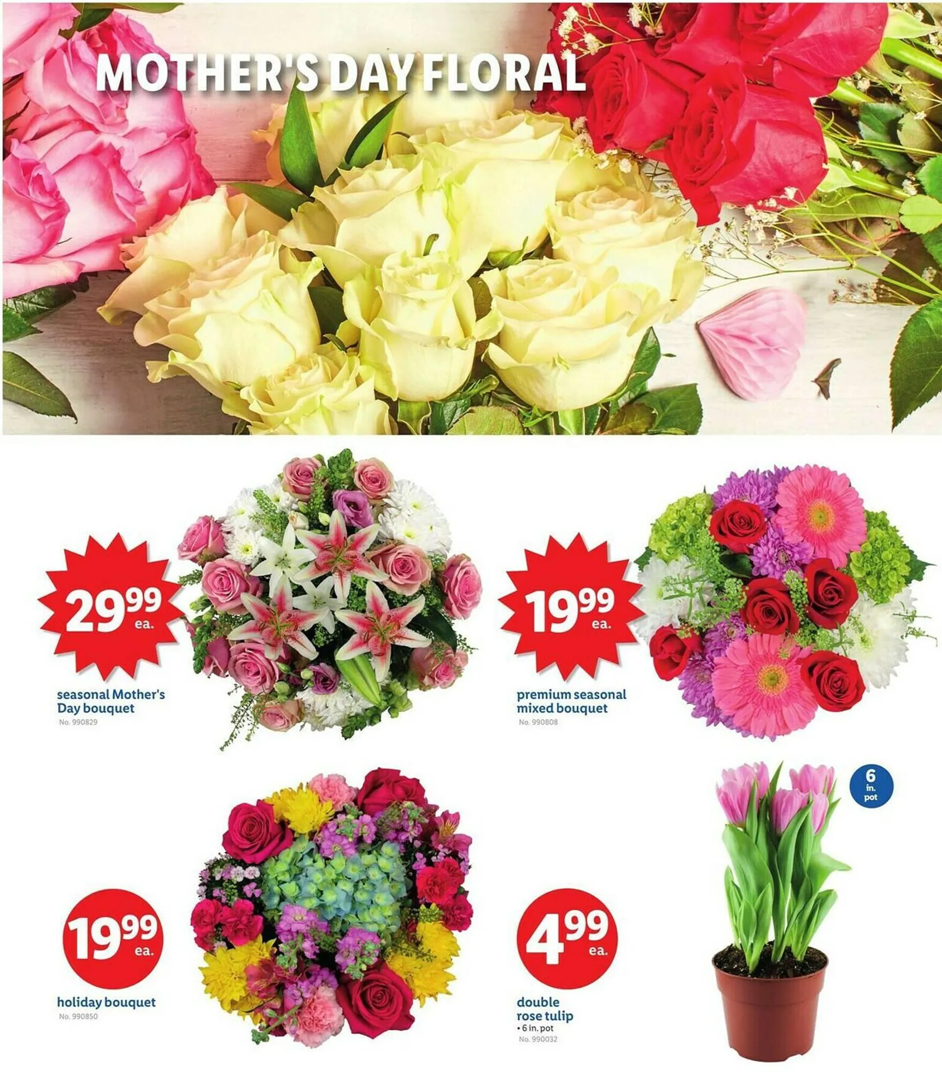 Weekly ad Lidl Weekly Ad from May 9 to May 15 2025 - Page 11
