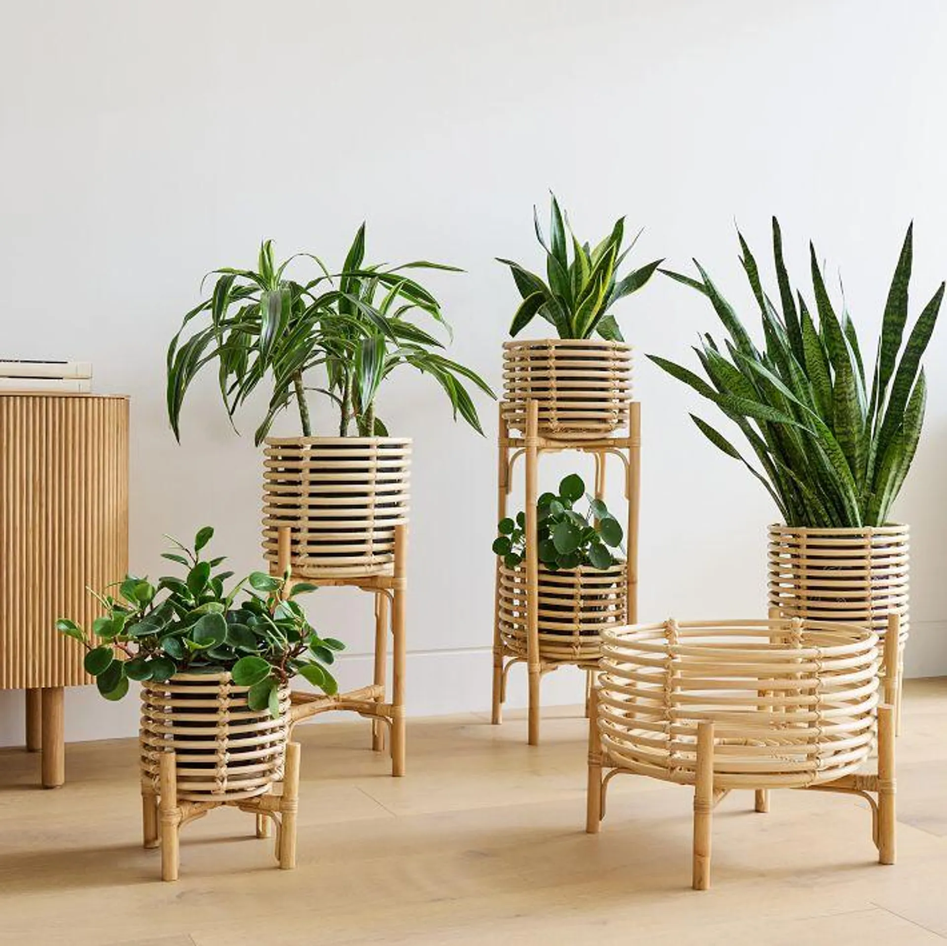 Adobe Rattan Planters