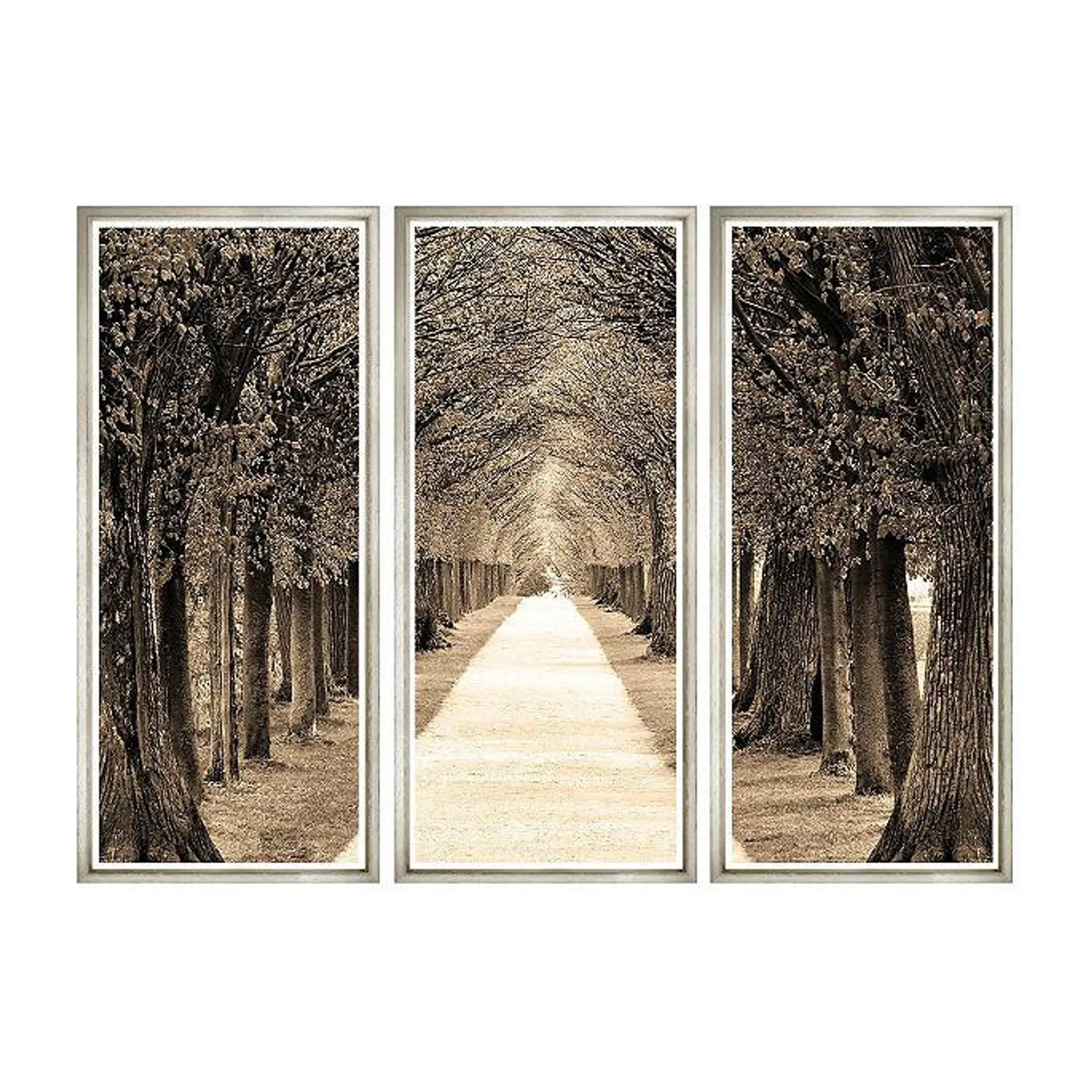 Down the Avenue Triptych