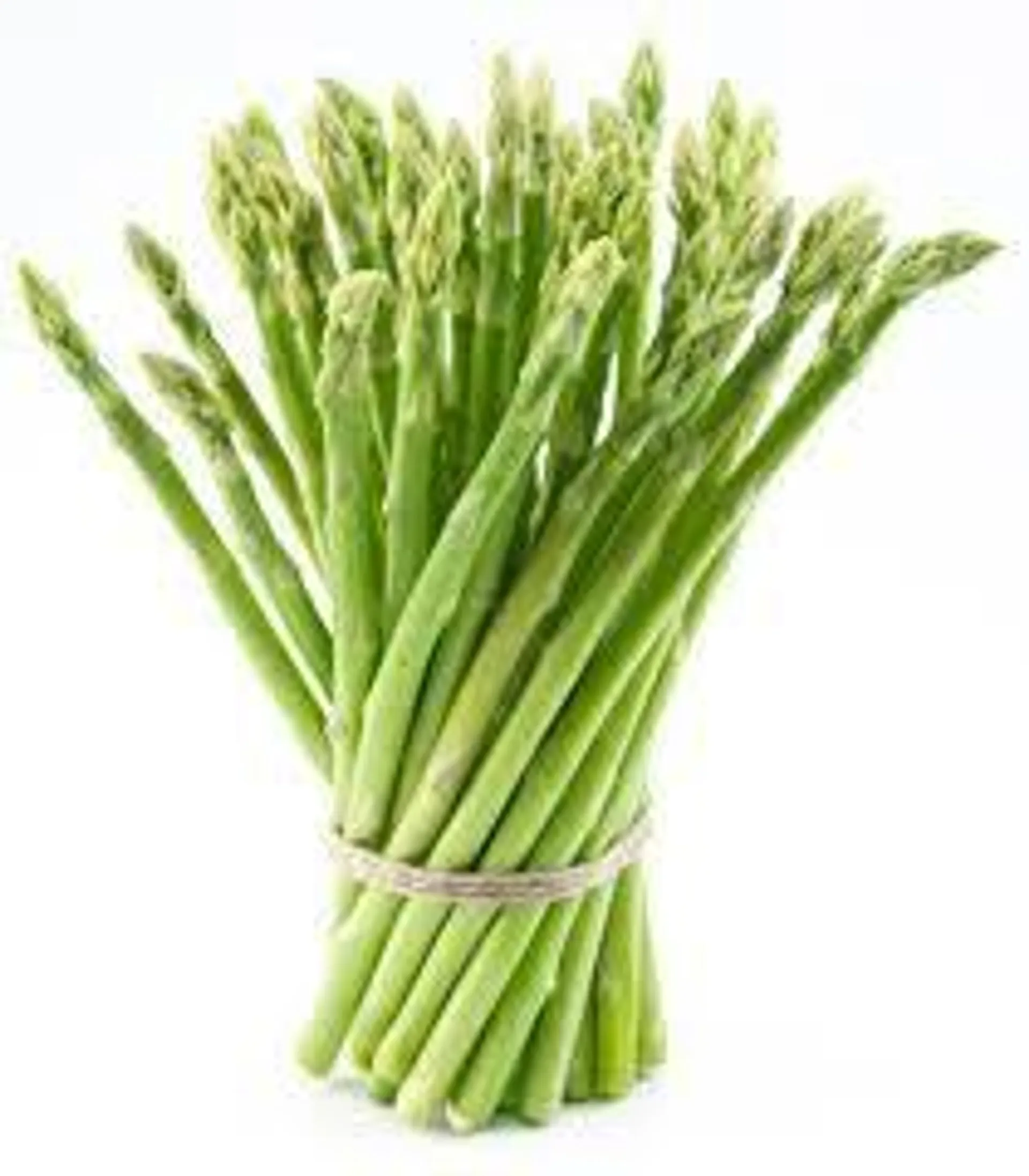 ASPARAGUS