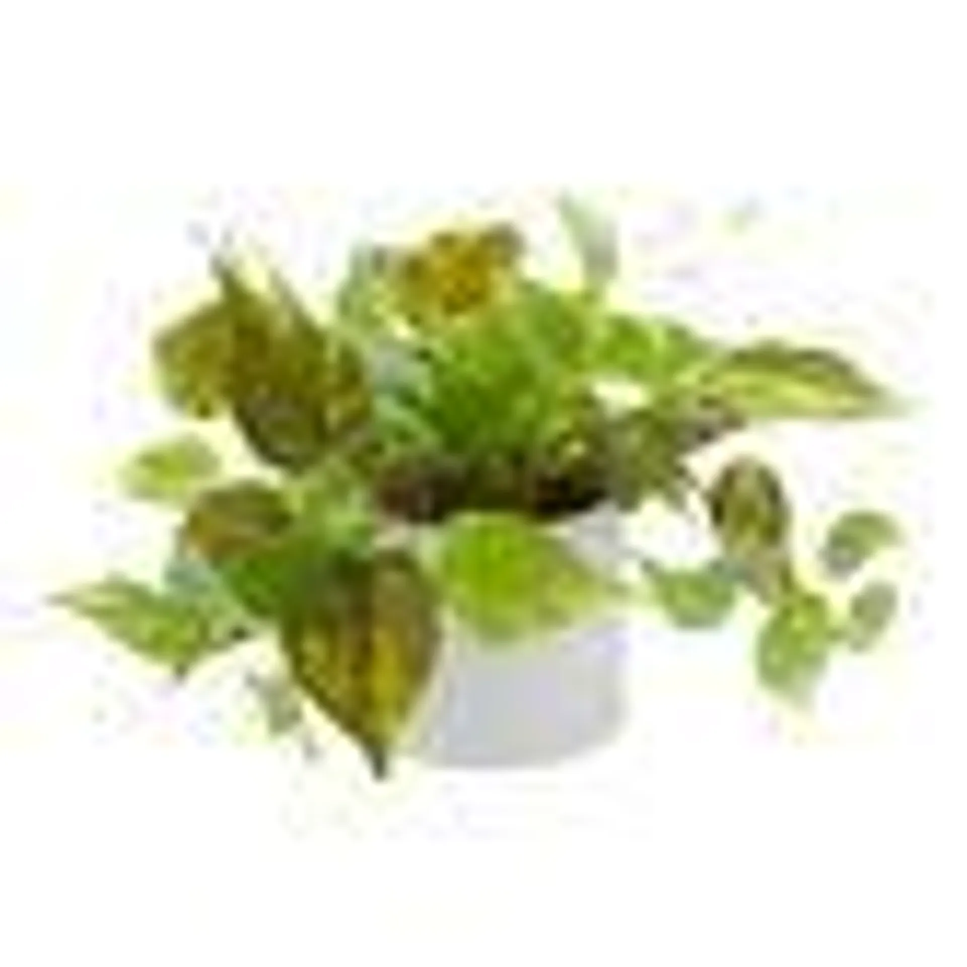 Faux Pothos Plant in White Cement Pot