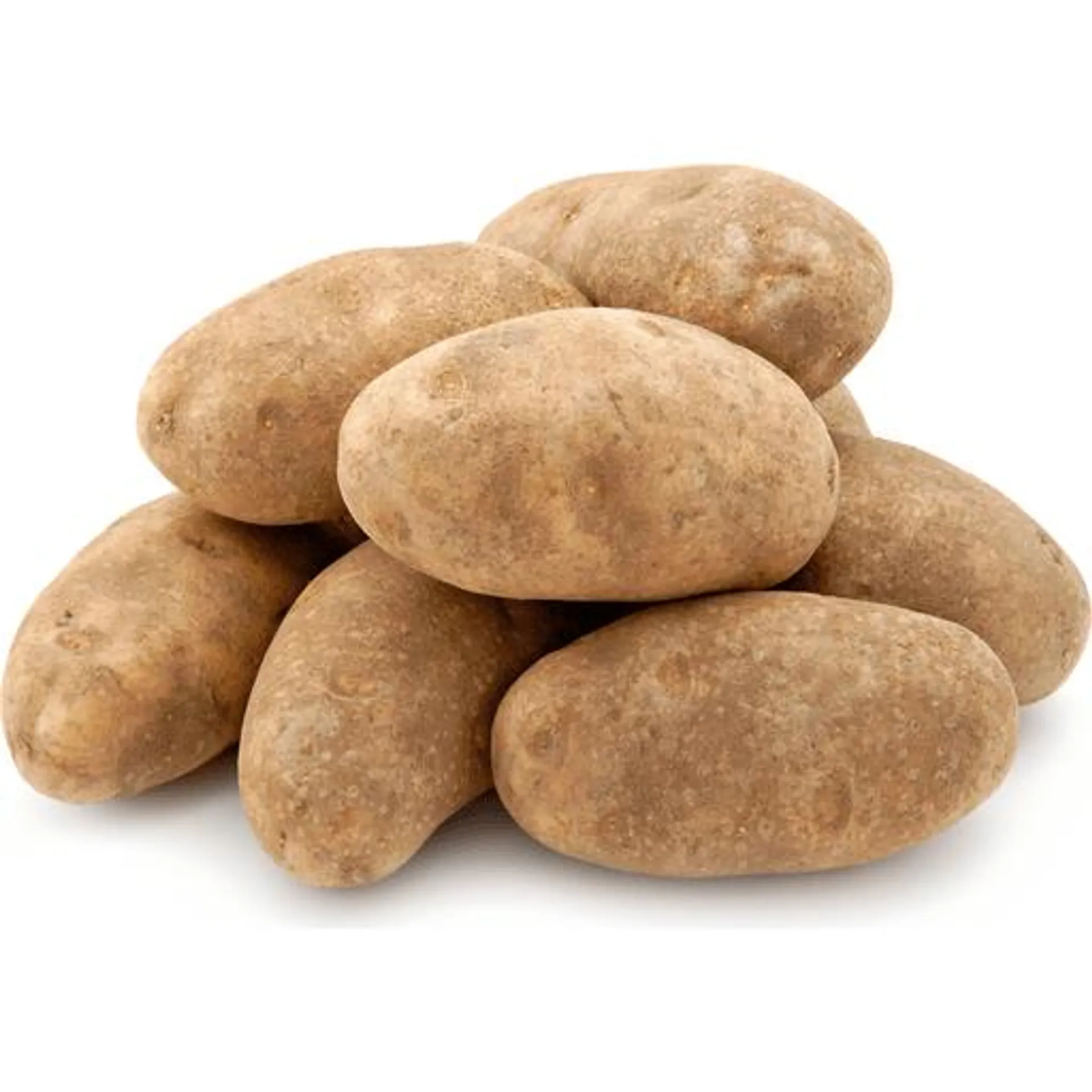 Russet Potato