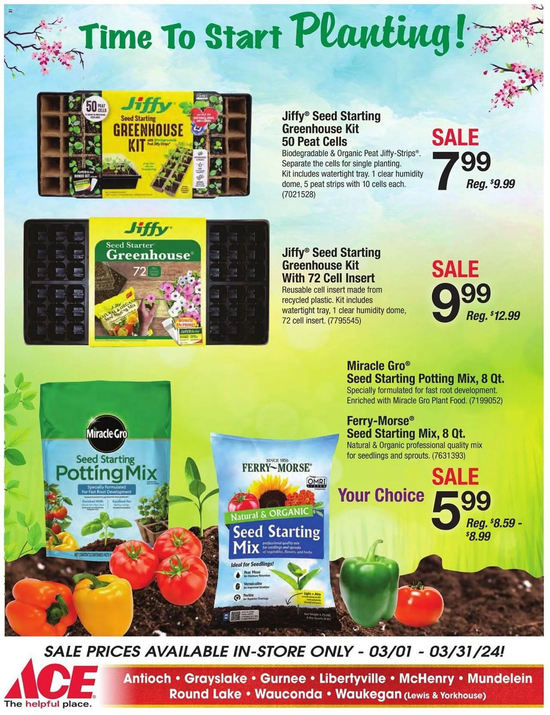 Weekly ad Ace Hardware Weekly Ad from March 1 to March 31 2024 - Page 3