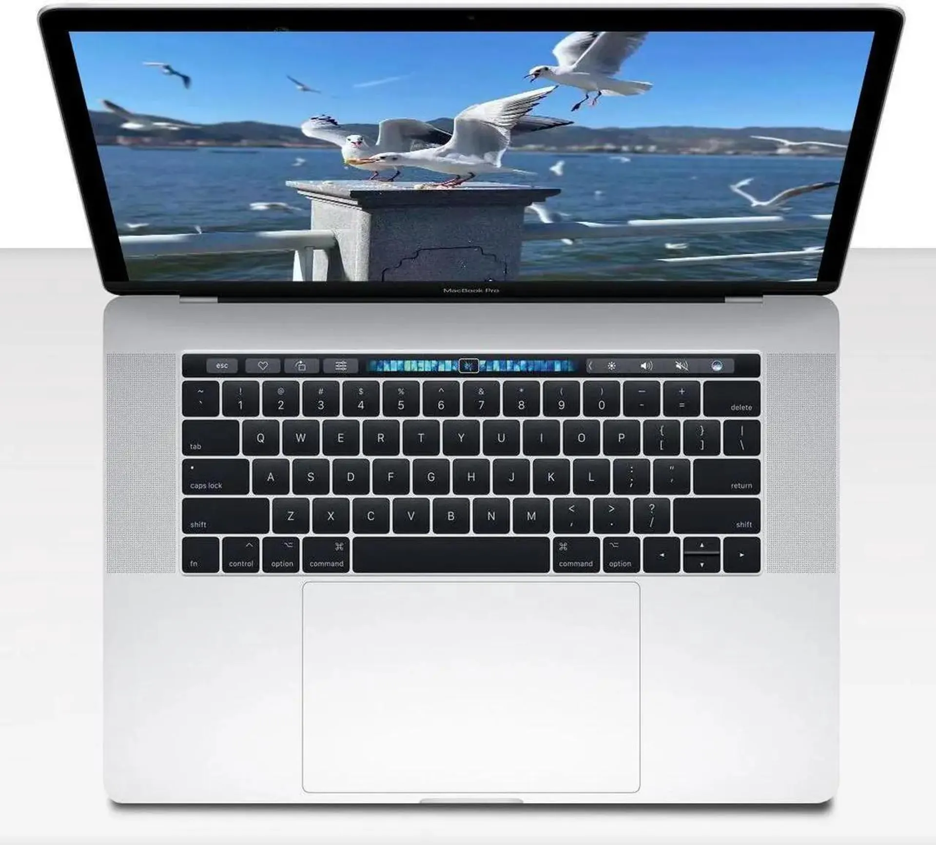 Apple Laptop MacBook Pro with Touch Bar Intel Core i7 I7-6920HQ 2.70GHz 16GB Memory 1TB SSD Storage AMD Radeon Pro 455 15.4" macOS
