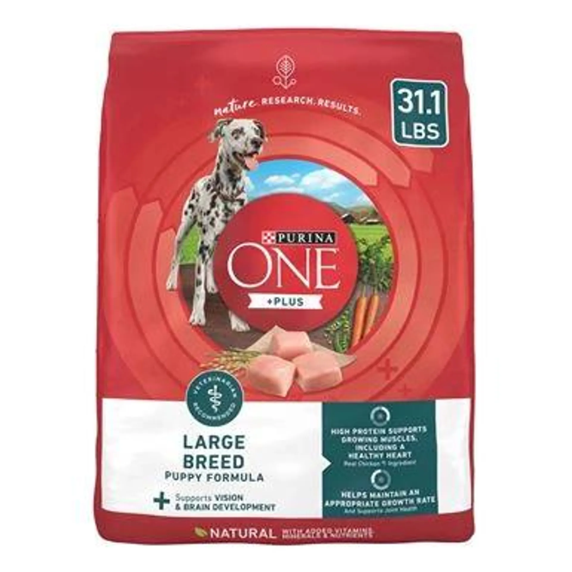 Purina ONE Plus Large Breed Puppy Food Dry Formula - 31.1 Pound Bag