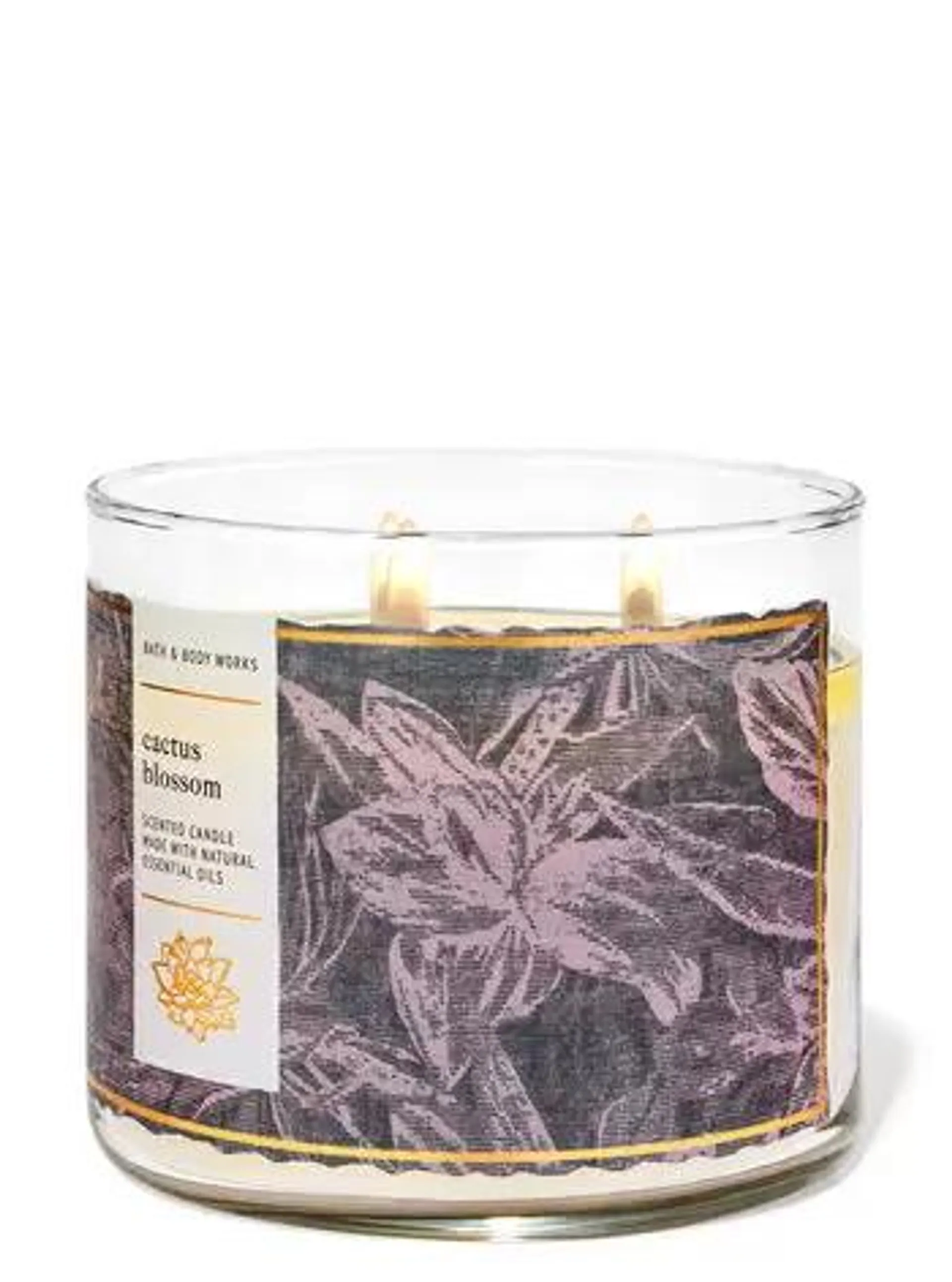 Cactus Blossom 3-Wick Candle