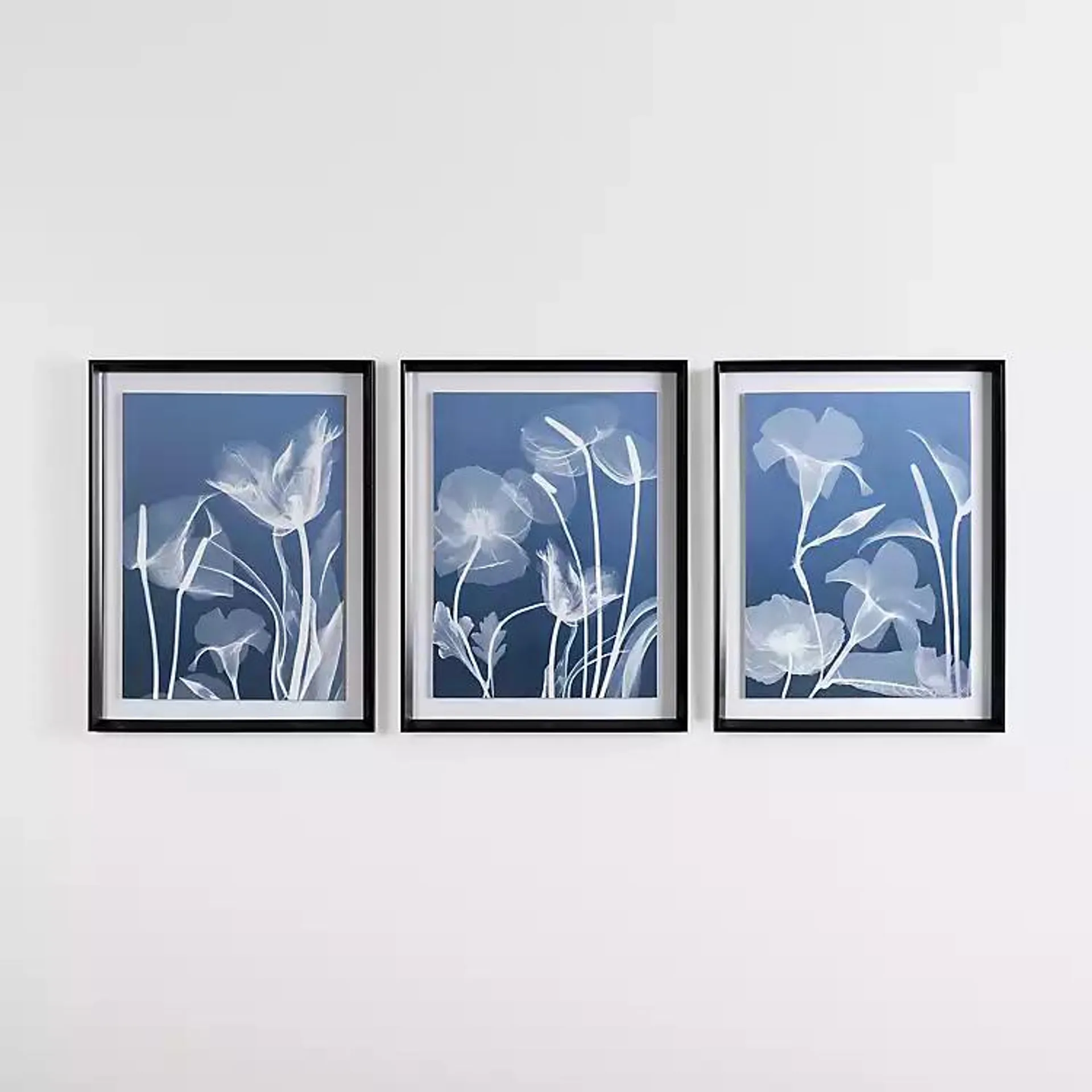 Blue Floral X-Ray Framed Art Prints, Set of 3