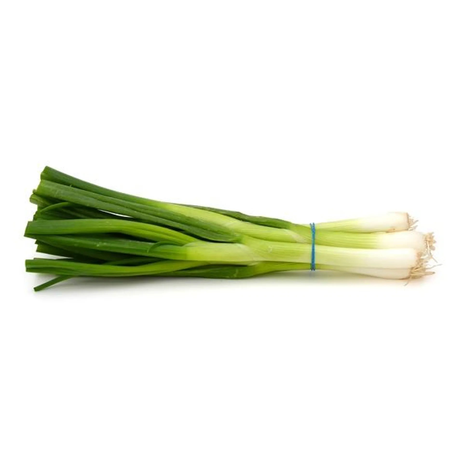 Organic Green Onions (Scallions)