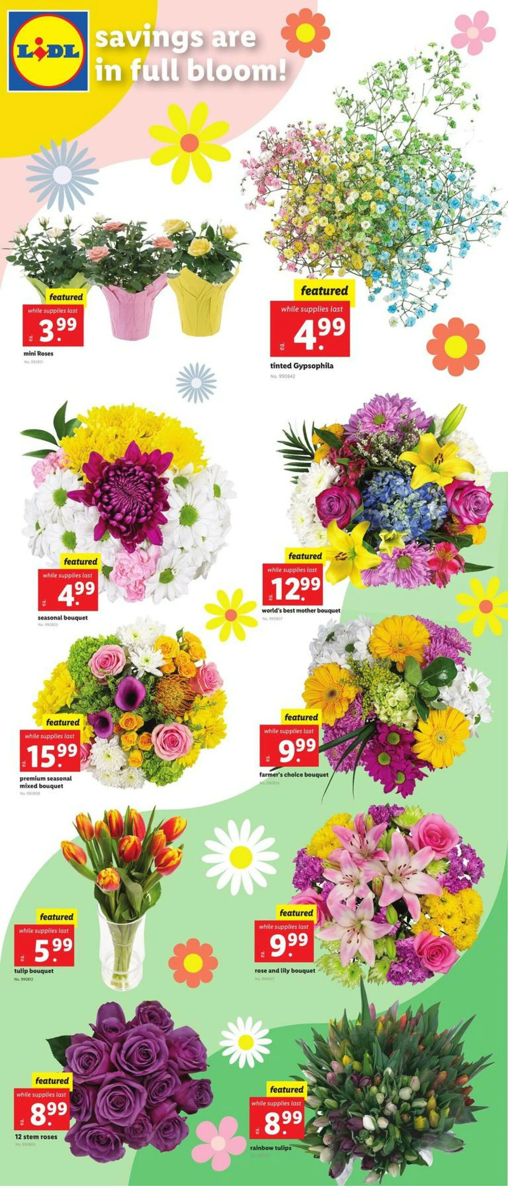 Lidl Current weekly ad - 5