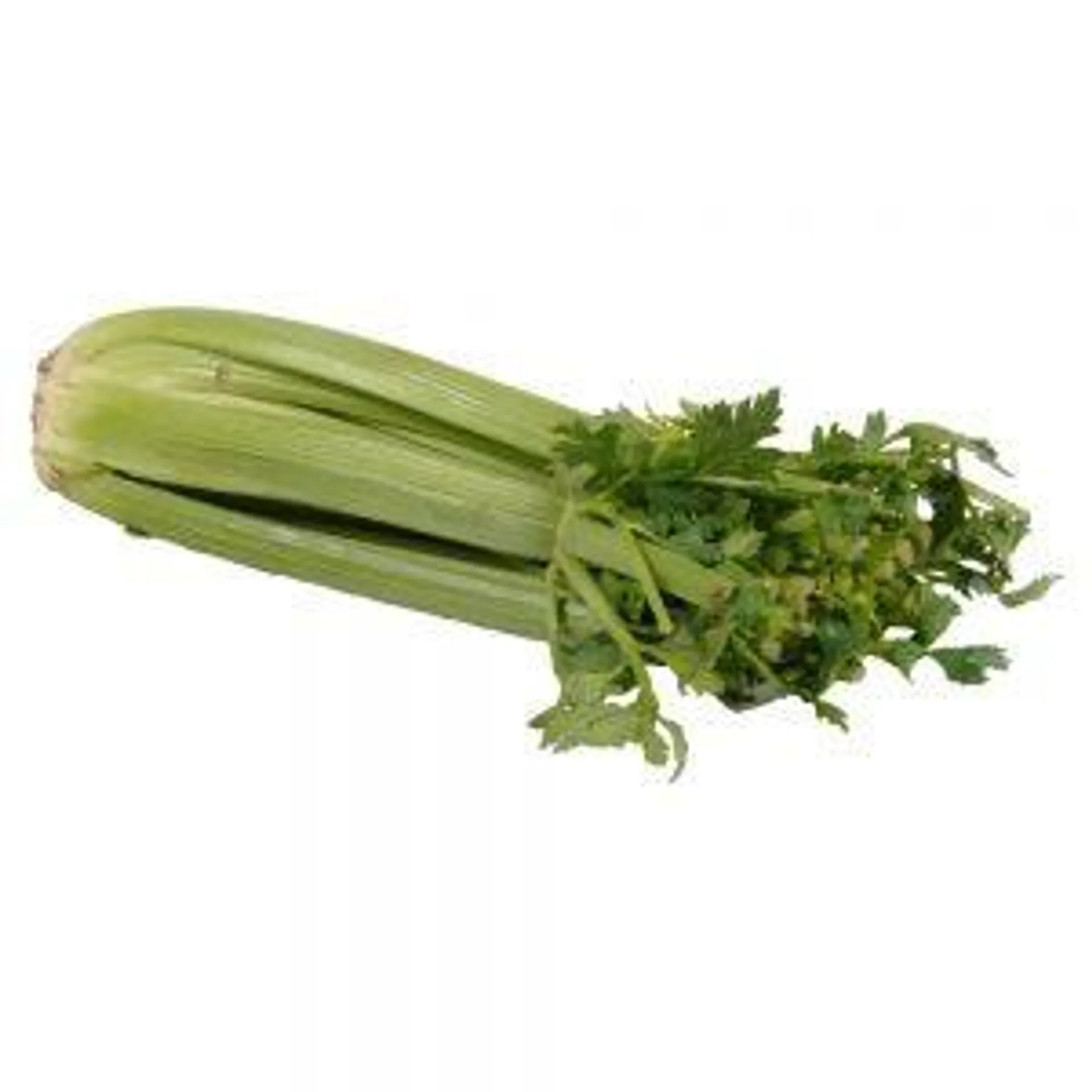 Celery, Fresh