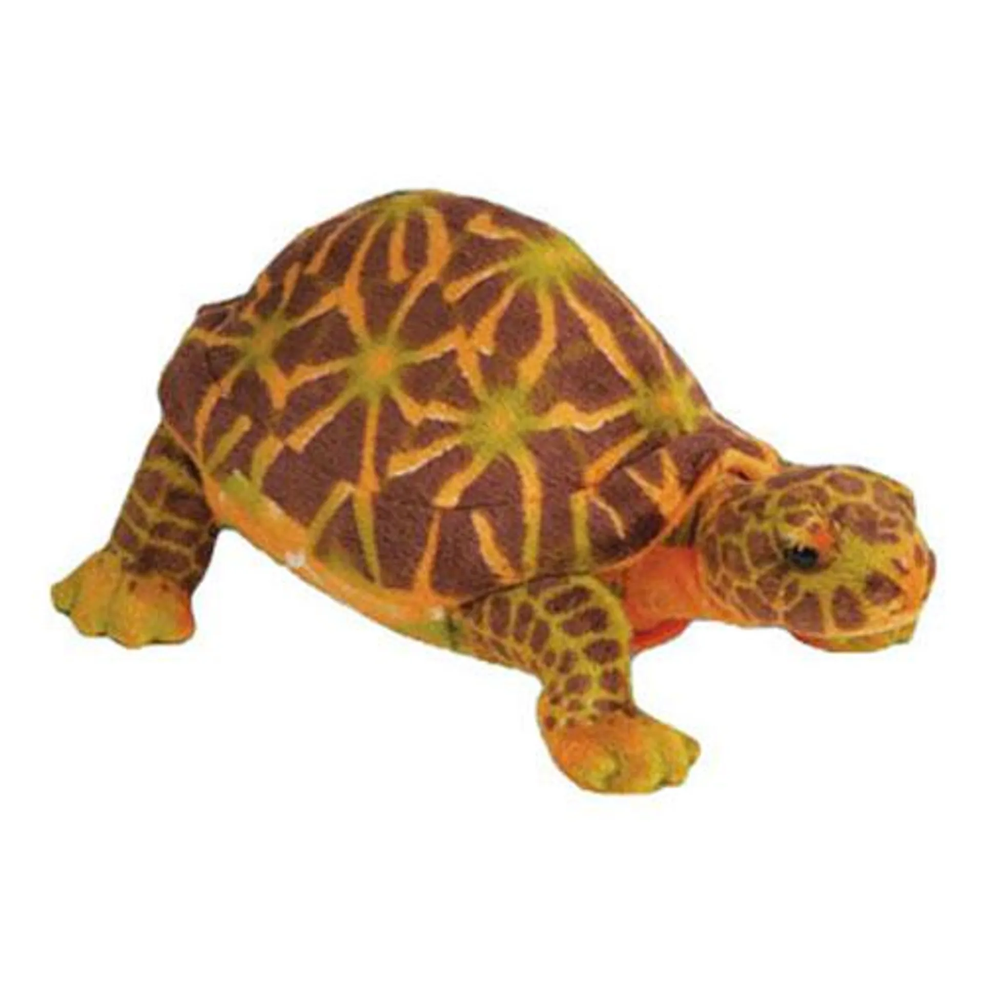 Adventure Planet Plush - BOX TURTLE ( 10 inch )