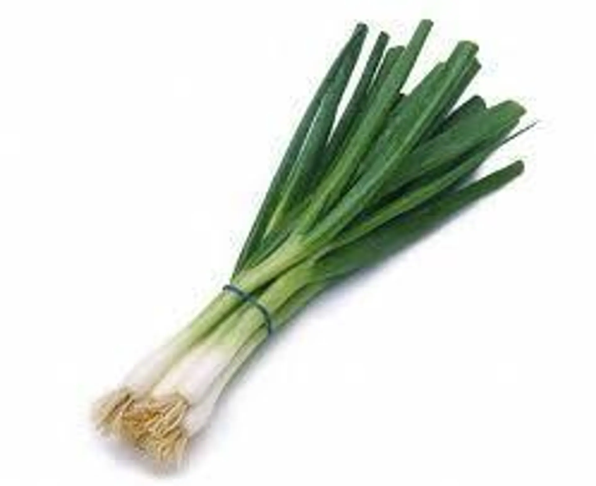 GREEN ONIONS