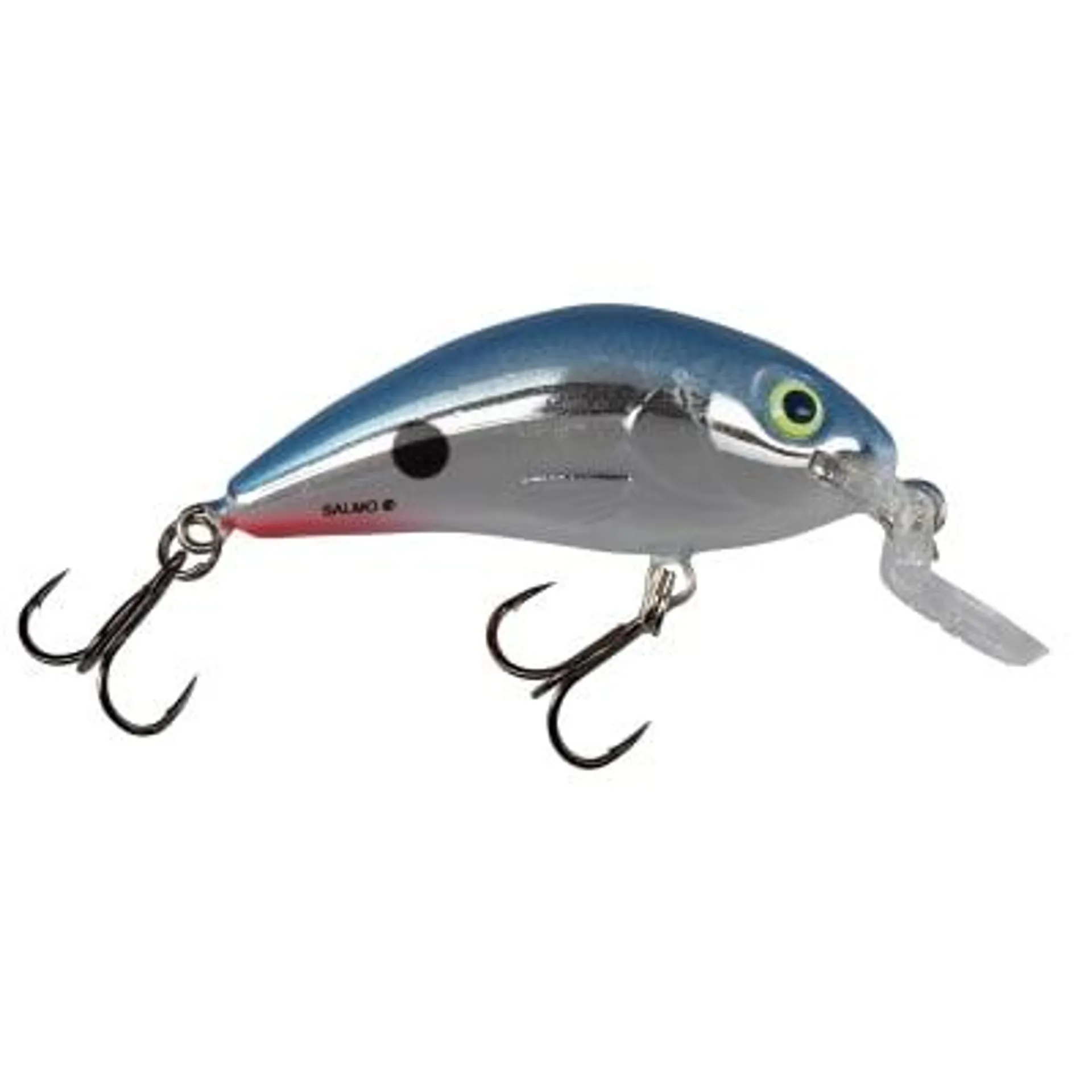 Salmo Red Tail Shiner Rattling Hornet Shallow Runner Crankbait