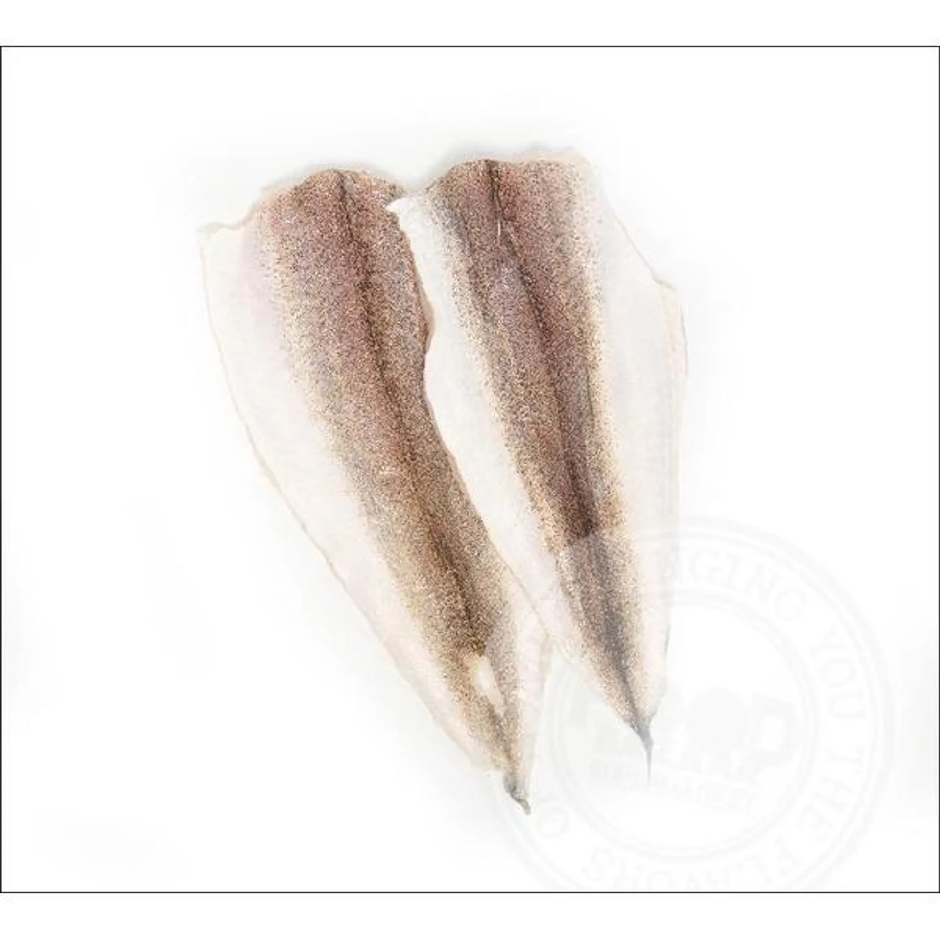 Whiting Fillet