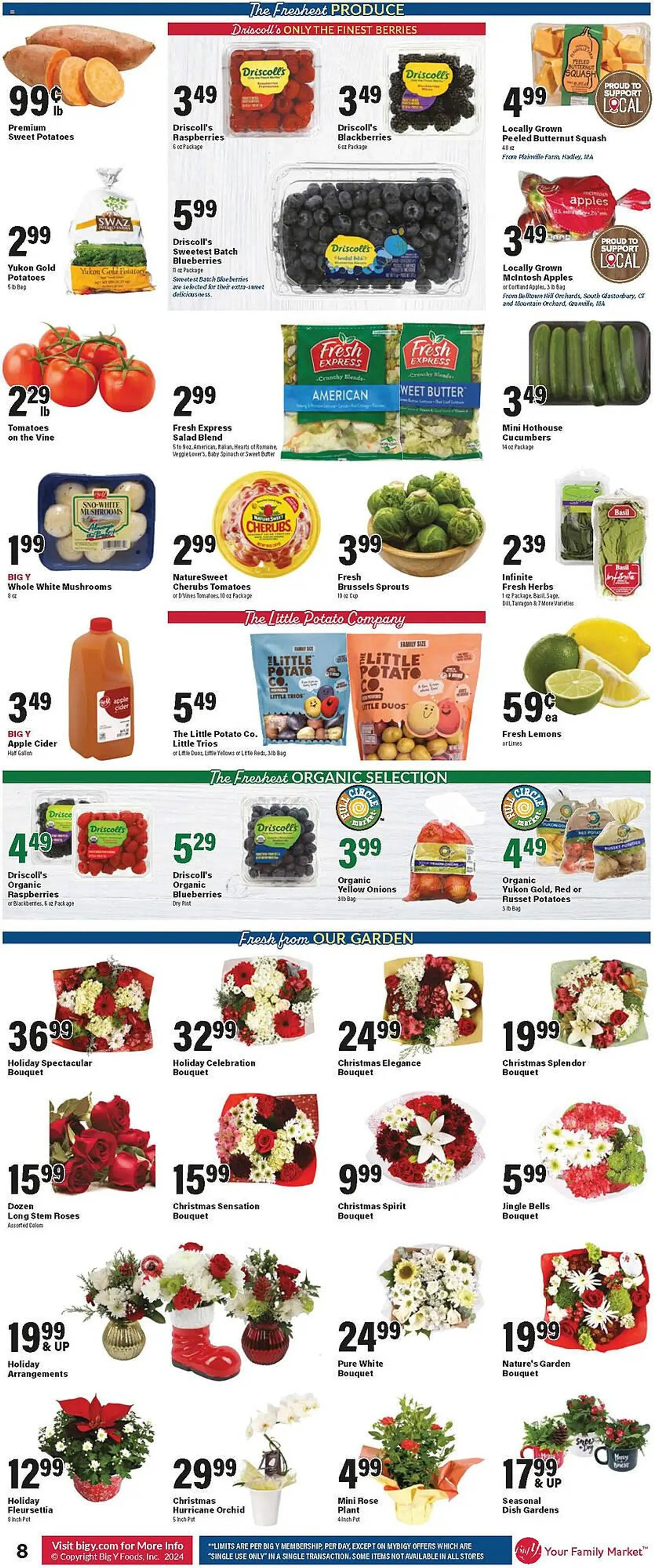 Weekly ad Big Y Weekly Ad from December 12 to December 18 2024 - Page 13