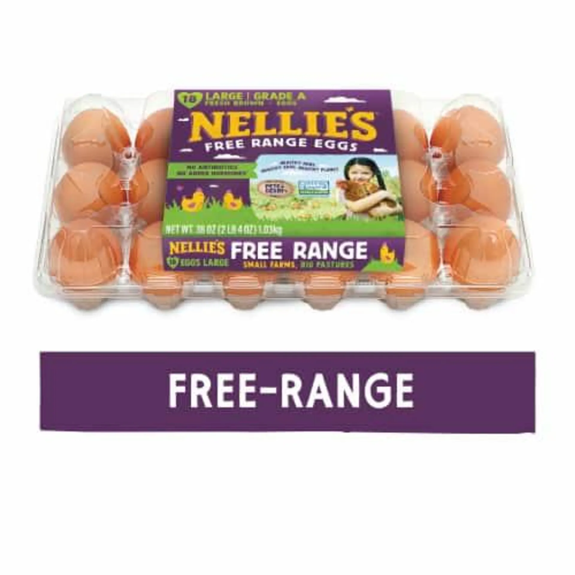 Nellie's Free Range Eggs Large 18 ct