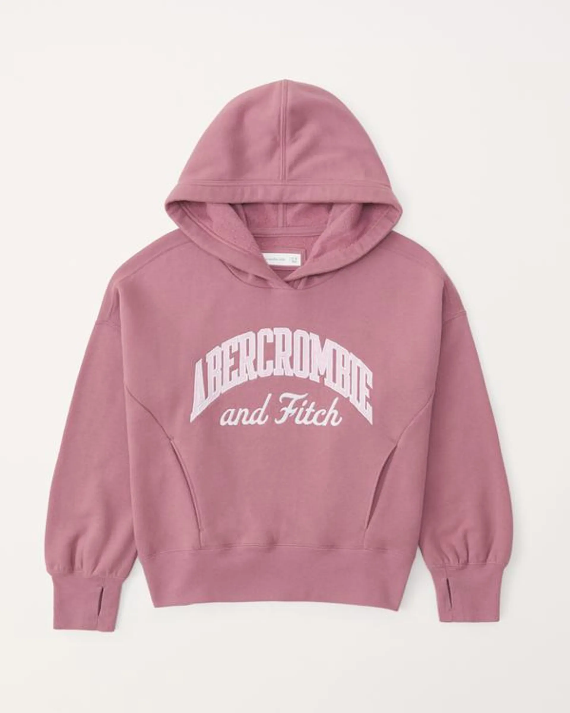 logo popover hoodie