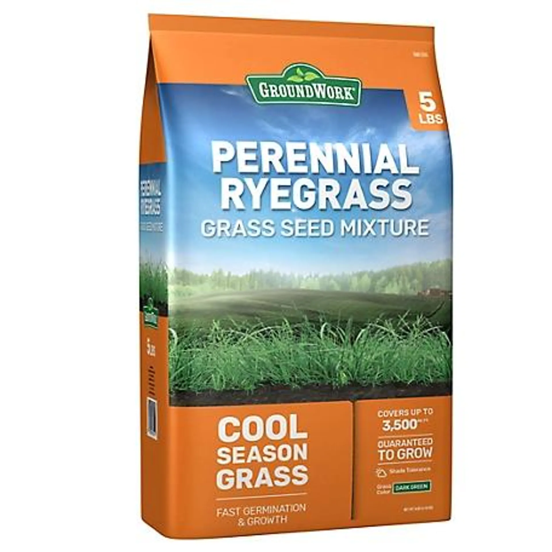 GroundWork 5 lb. 3,500 sq. ft. Perennial Ryegrass Grass Seed