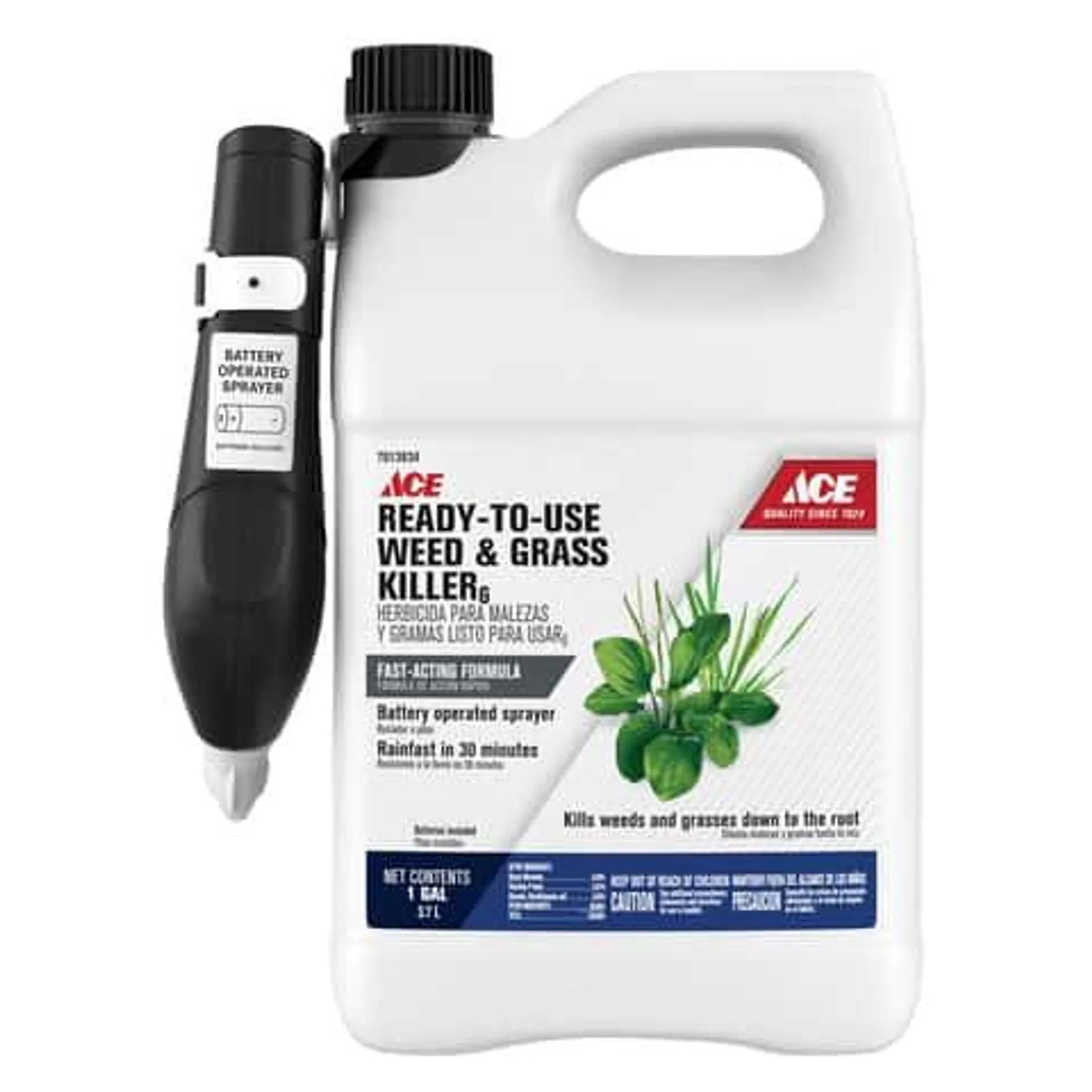 Ace Weed and Grass Killer RTU Liquid 1 gal